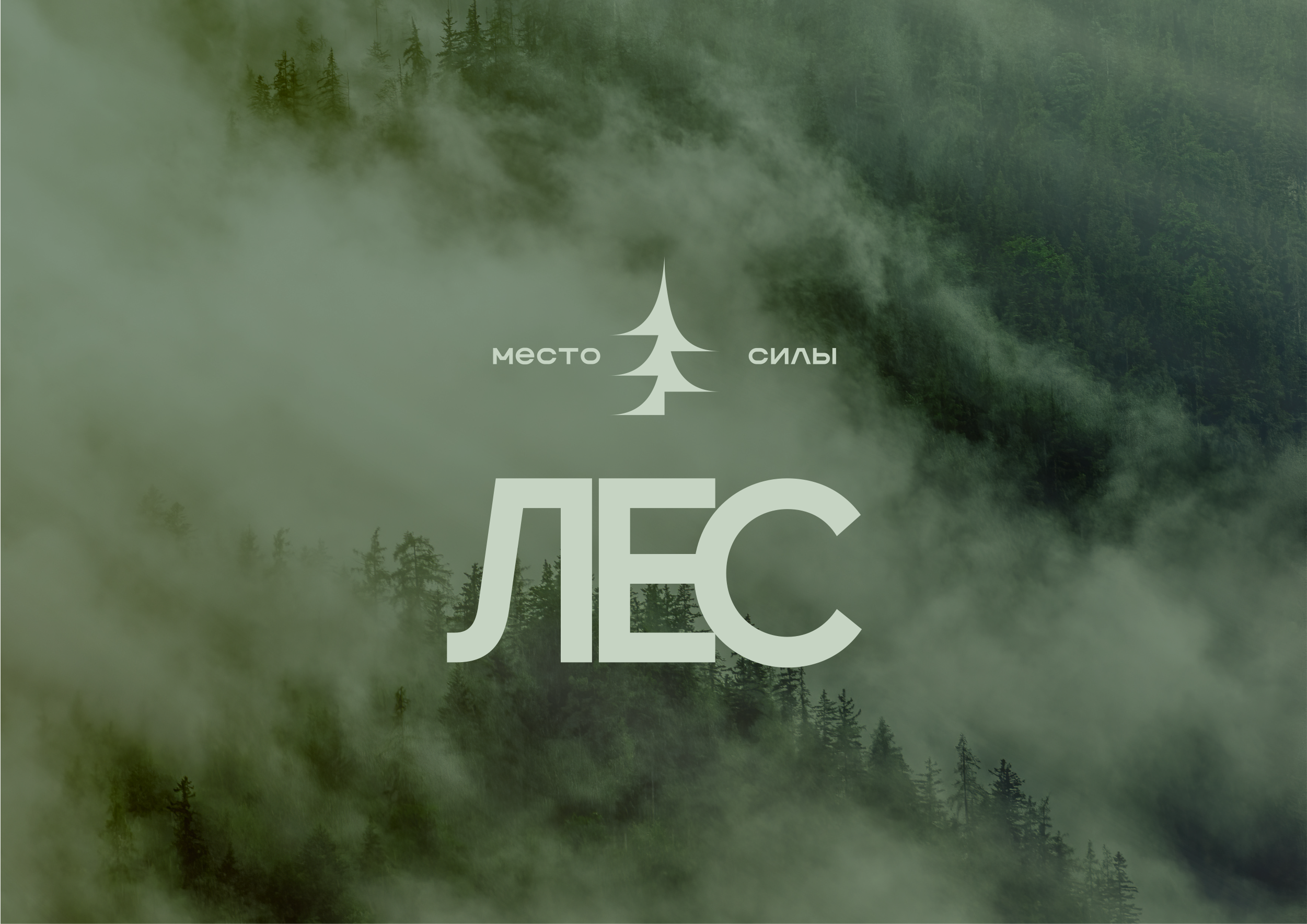 Разработка логотипа для гостевого дома — Изображение №3 — Брендинг на Dprofile