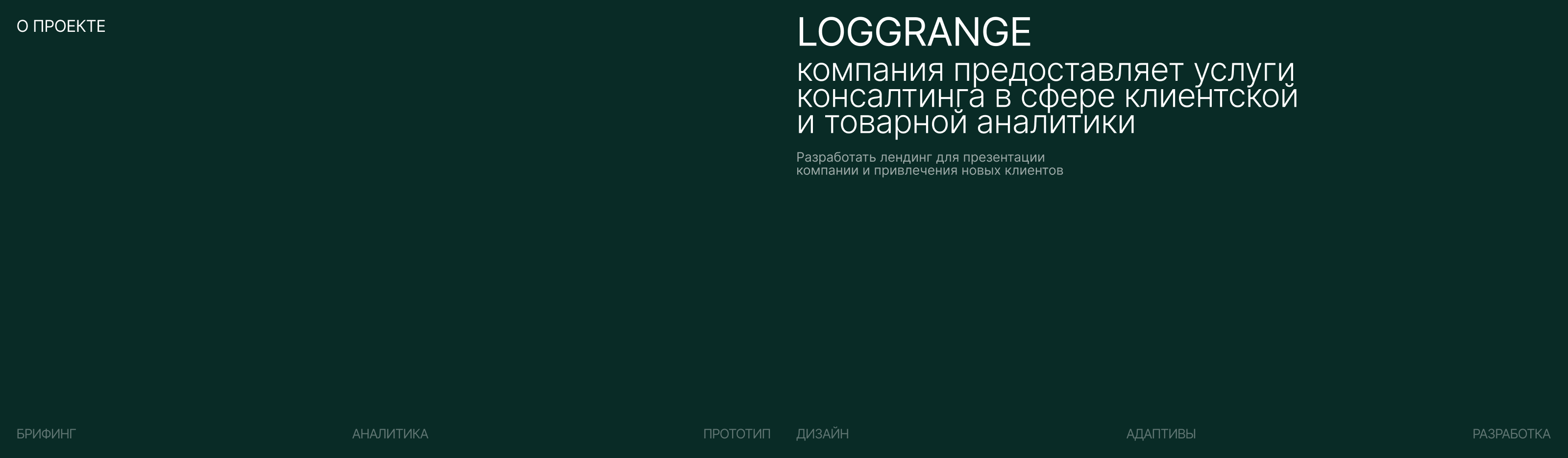 LogGrange | Лендинг для аналитического агентства — Изображение №2 — Интерфейсы, Брендинг на Dprofile