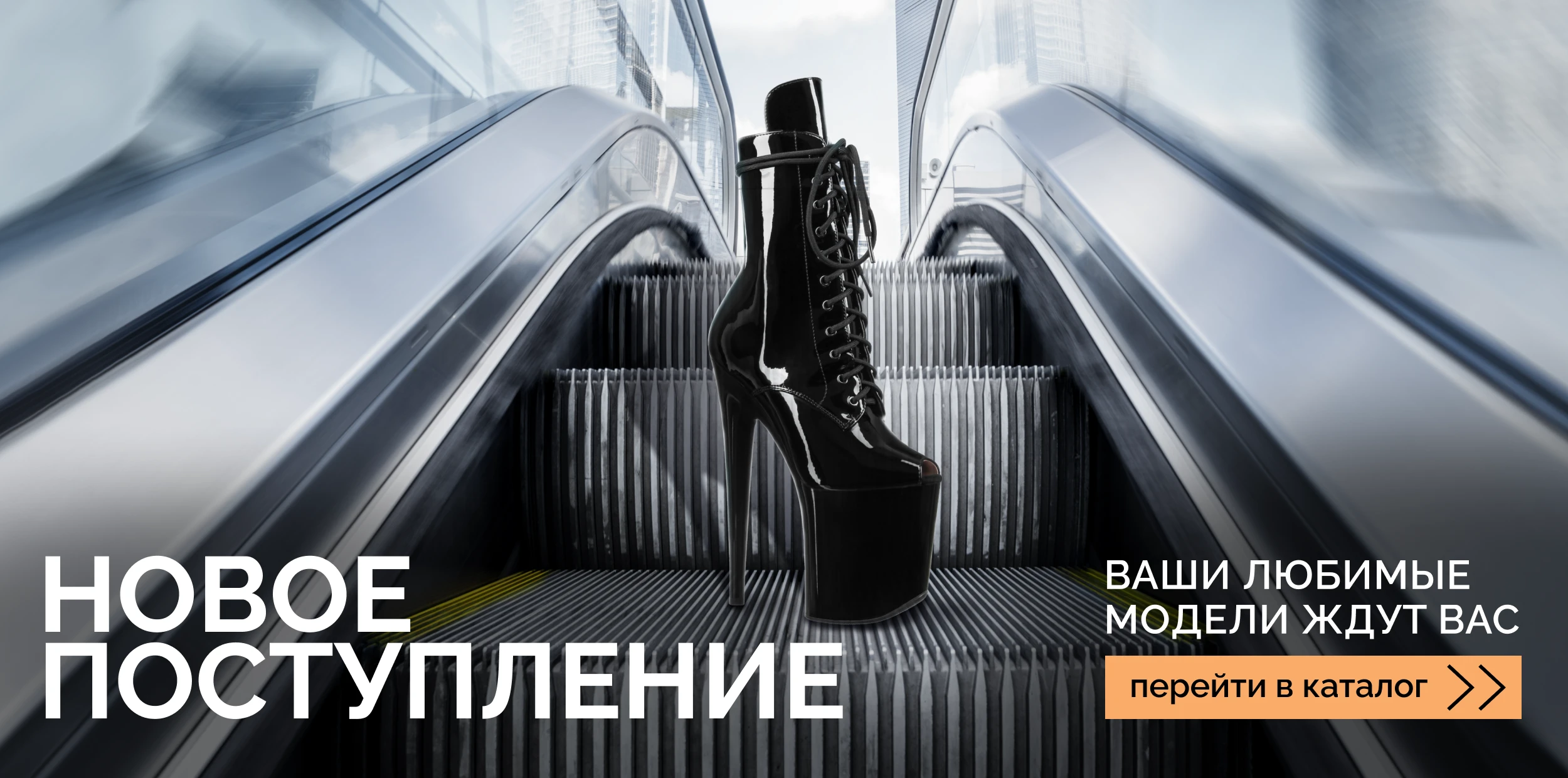 Fitpole — Digital & Print Marketing Design — Изображение №5 — Брендинг, Маркетинг на Dprofile