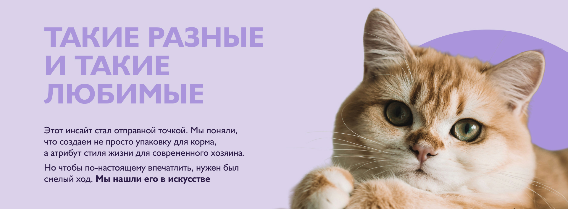 Дизайн упаковки | ENSO Pet Formula — Изображение №3 — Брендинг, Графика на Dprofile