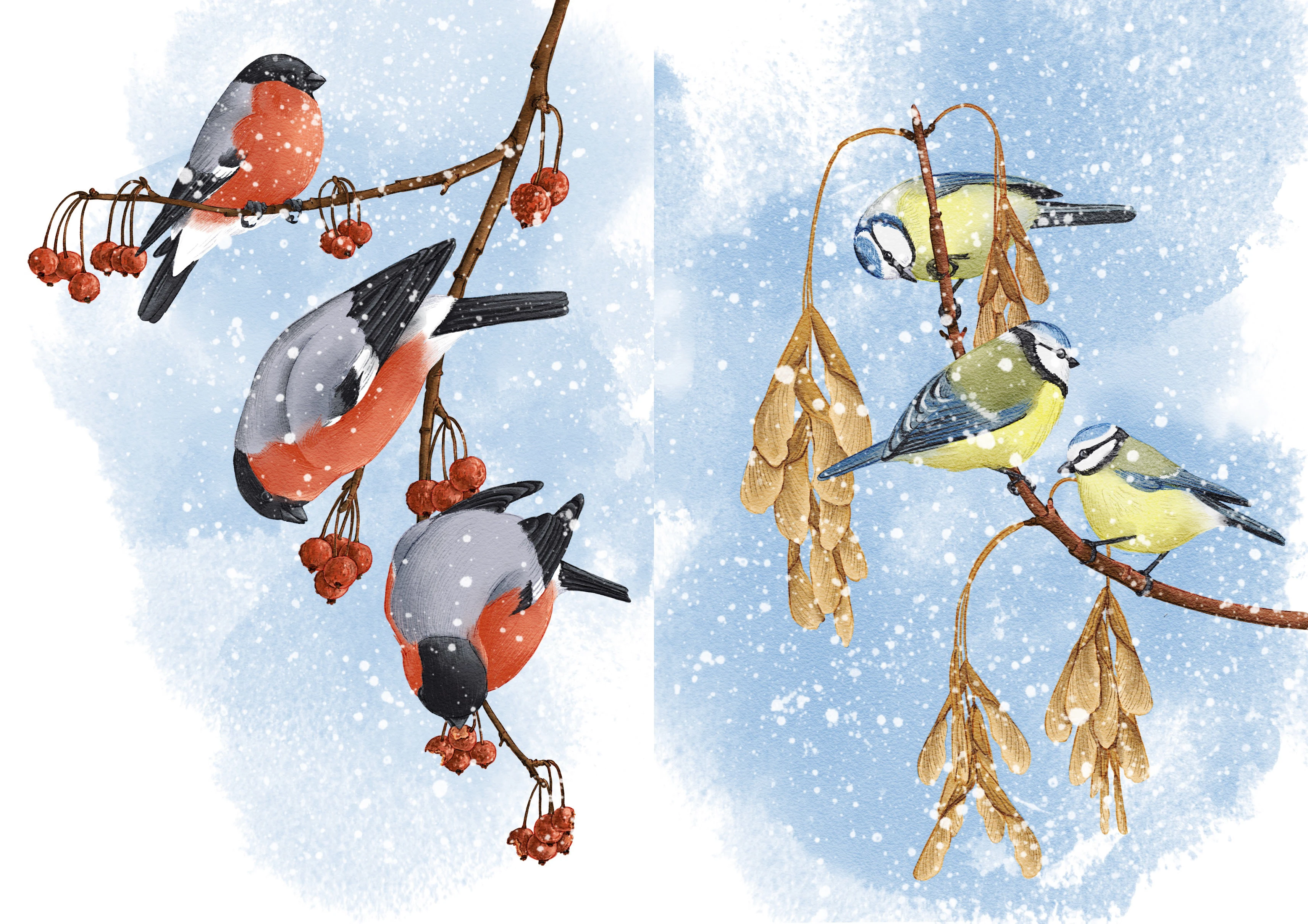 Зимние открытки — Изображение №2 — Иллюстрация на Dprofile