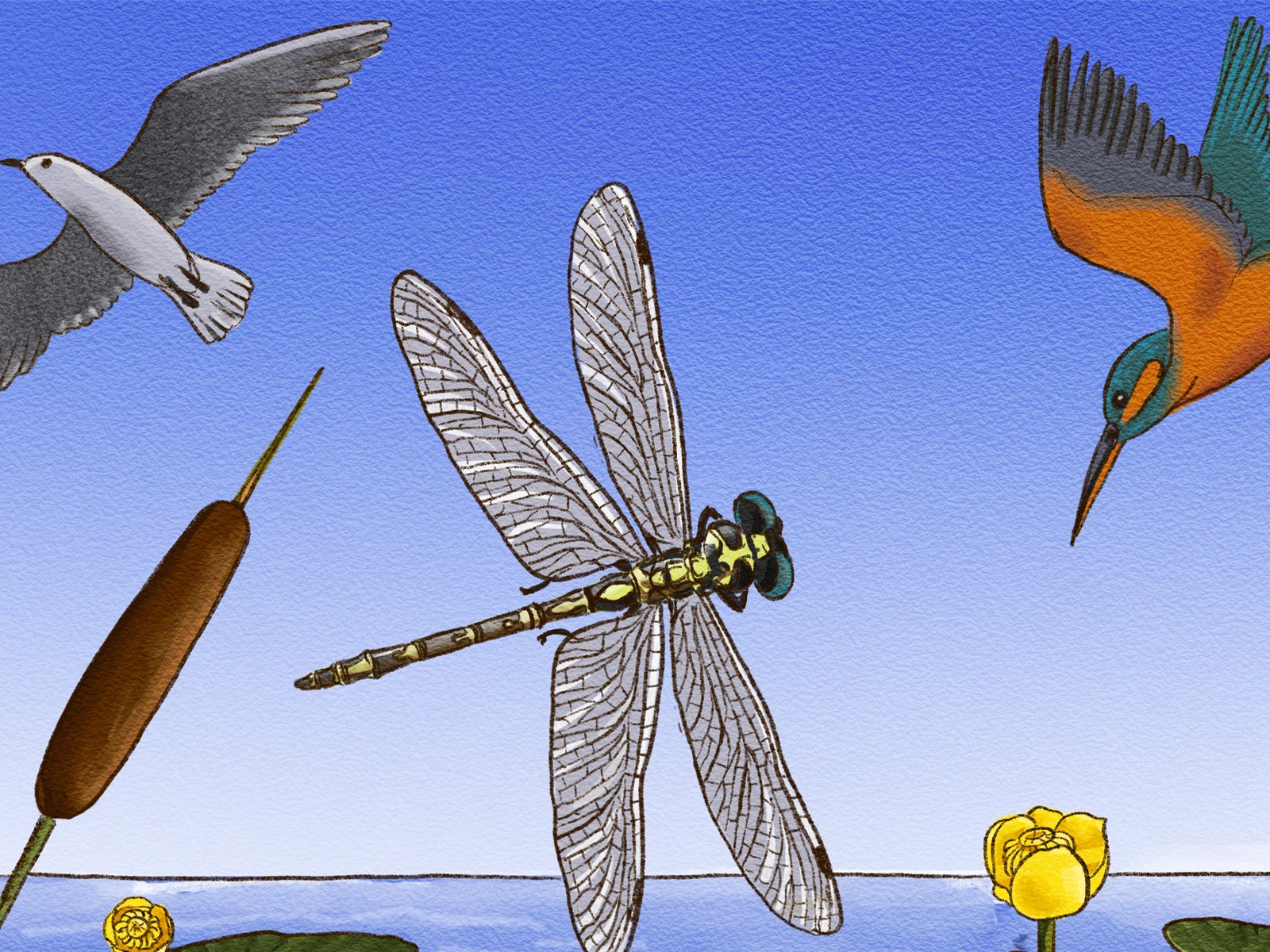 Виммельбух - путешествия божьей коровки — Изображение №8 — Иллюстрация, Графика на Dprofile