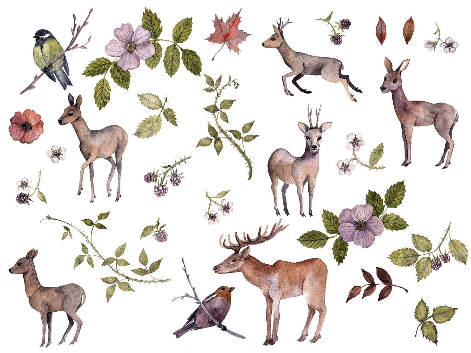 Акварельный лес — Изображение №2 — Иллюстрация, Графика на Dprofile