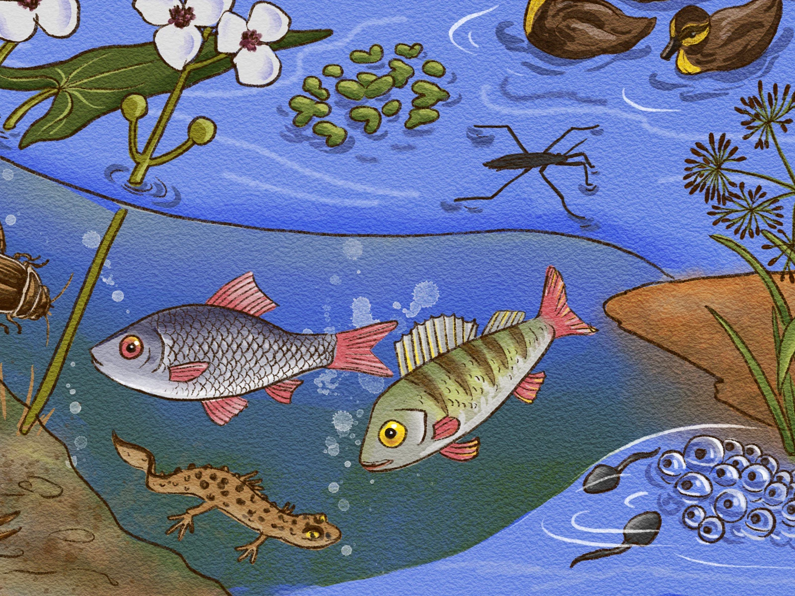 Виммельбух - путешествия божьей коровки — Изображение №6 — Иллюстрация, Графика на Dprofile