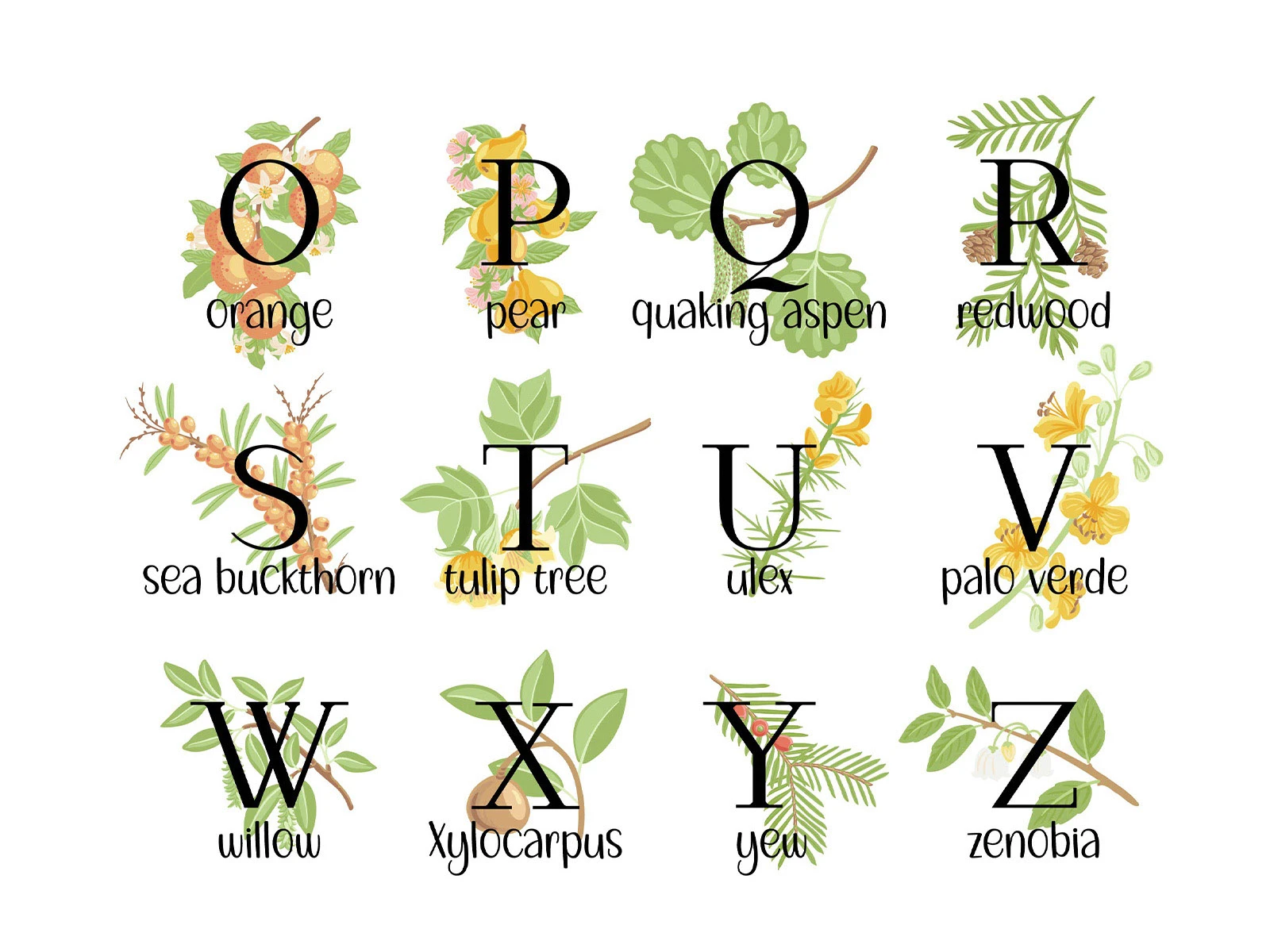 Природные алфавиты. Векторная иллюстрация. — Изображение №2 — Иллюстрация, Графика на Dprofile