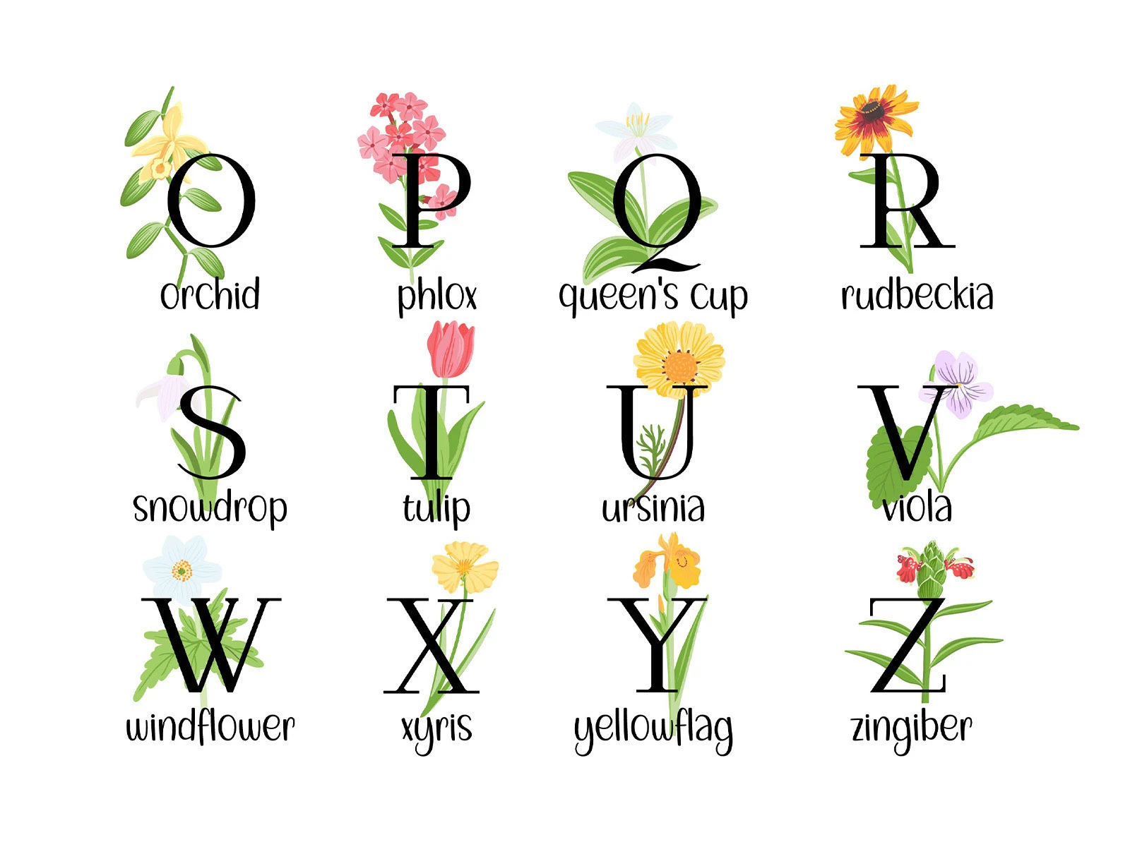 Природные алфавиты. Векторная иллюстрация. — Изображение №10 — Иллюстрация, Графика на Dprofile