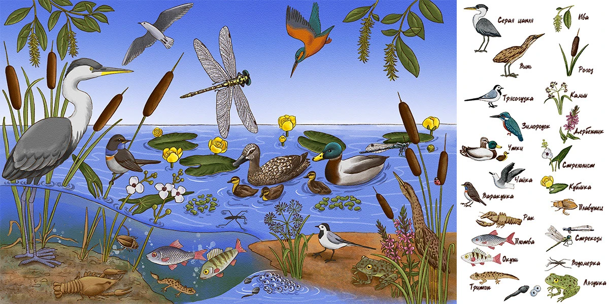 Виммельбух - путешествия божьей коровки — Изображение №2 — Иллюстрация, Графика на Dprofile