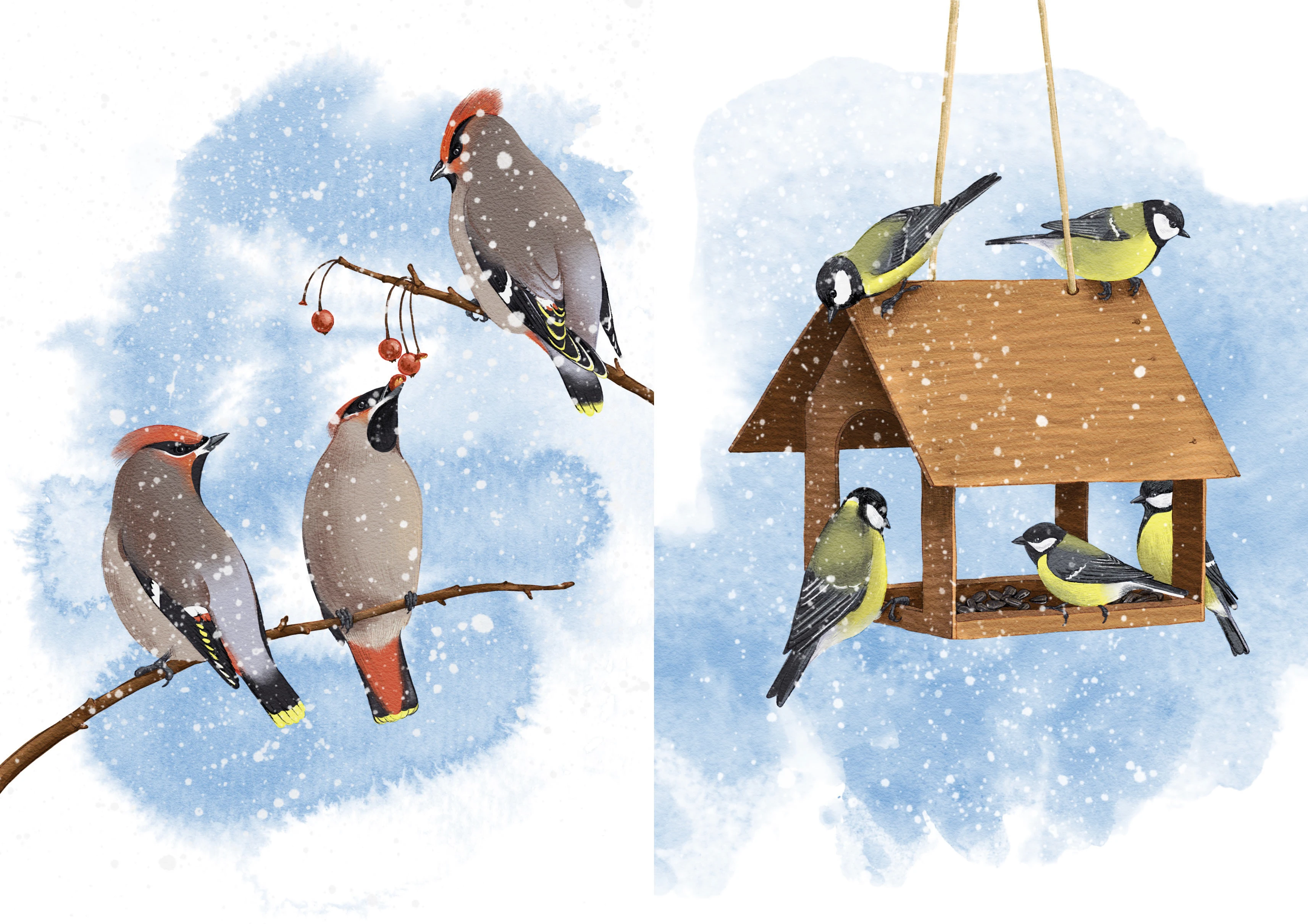 Зимние открытки — Изображение №1 — Иллюстрация на Dprofile