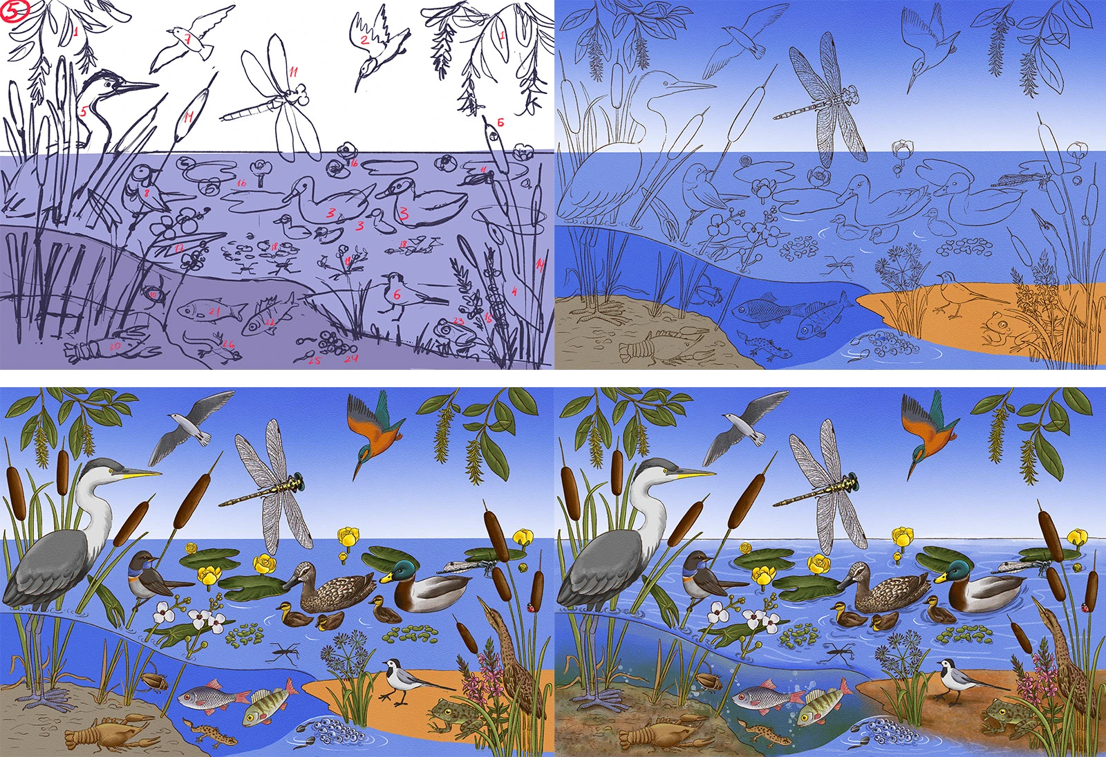 Виммельбух - путешествия божьей коровки — Изображение №4 — Иллюстрация, Графика на Dprofile