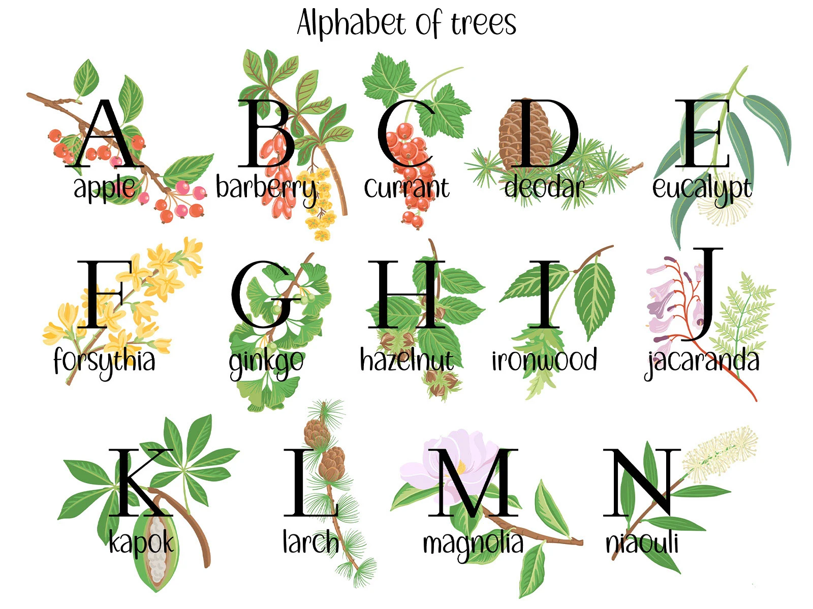 Природные алфавиты. Векторная иллюстрация. — Изображение №5 — Иллюстрация, Графика на Dprofile