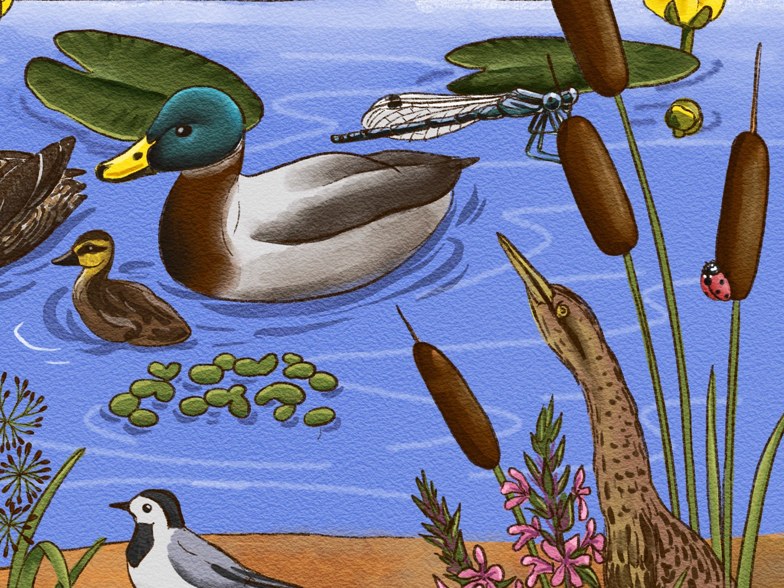 Виммельбух - путешествия божьей коровки — Изображение №10 — Иллюстрация, Графика на Dprofile