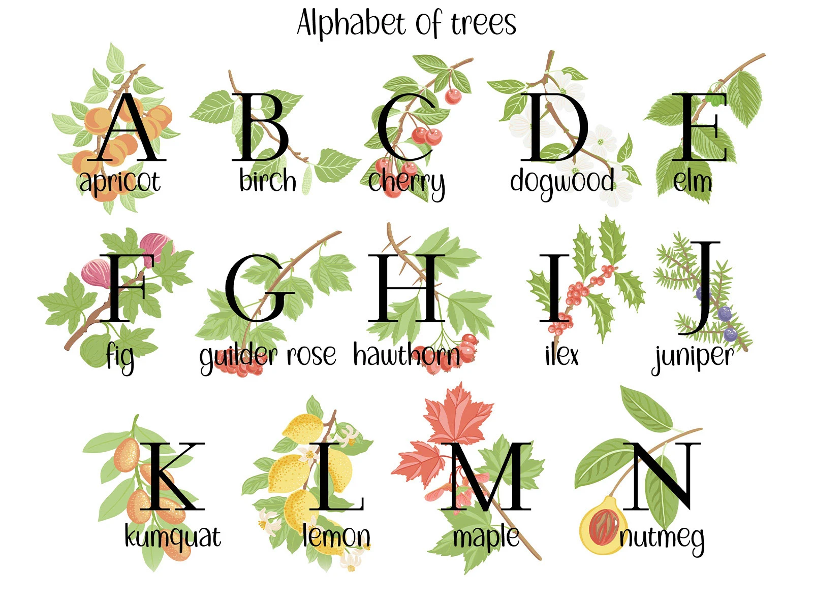 Природные алфавиты. Векторная иллюстрация. — Изображение №1 — Иллюстрация, Графика на Dprofile