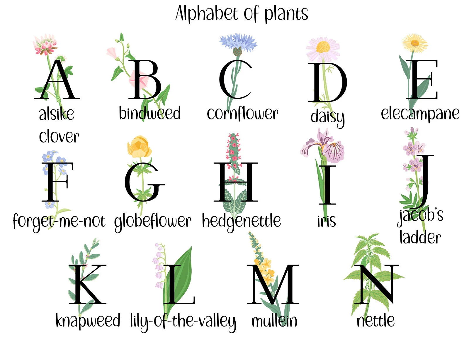 Природные алфавиты. Векторная иллюстрация. — Изображение №3 — Иллюстрация, Графика на Dprofile