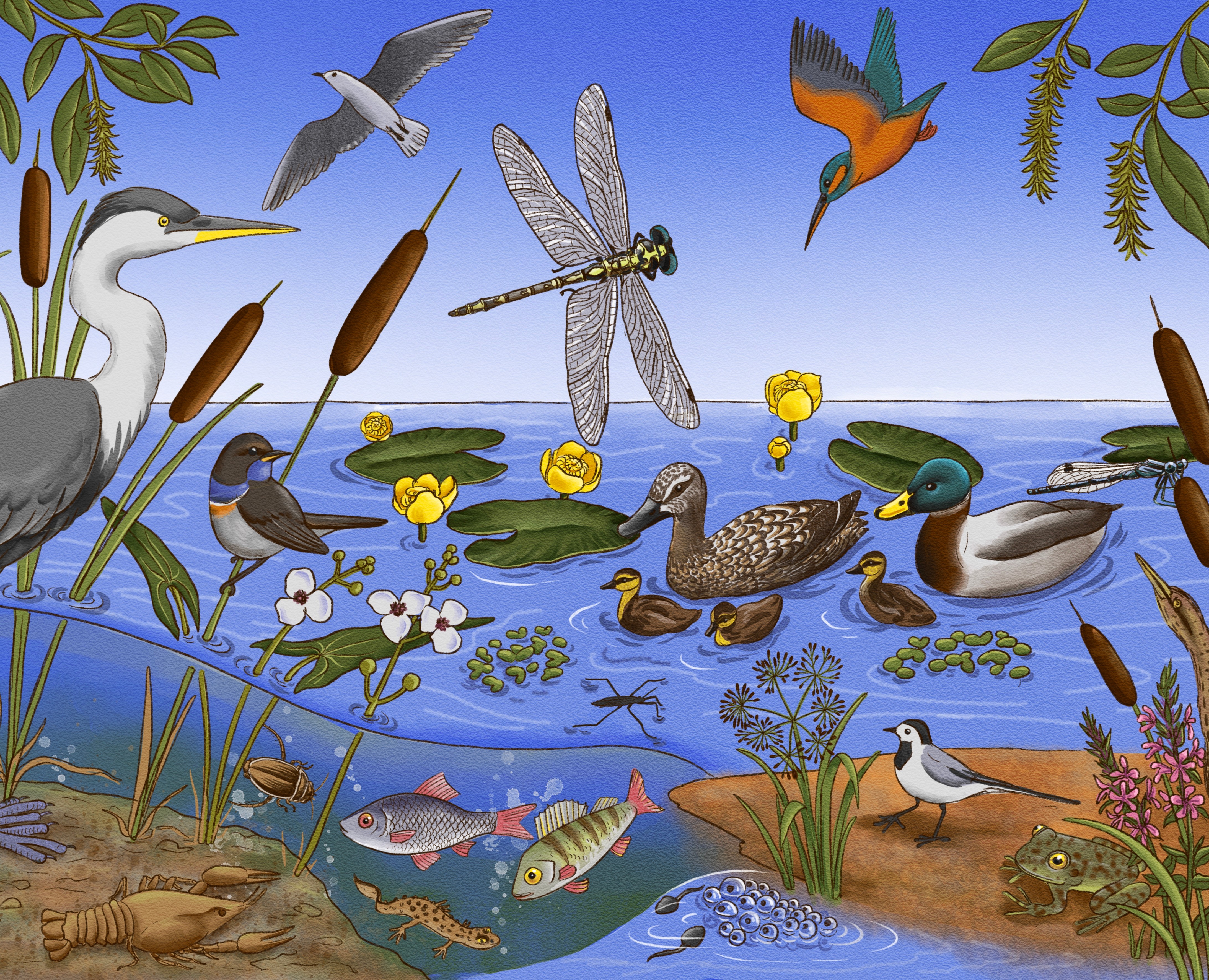 Виммельбух - путешествия божьей коровки — Иллюстрация, Графика на Dprofile