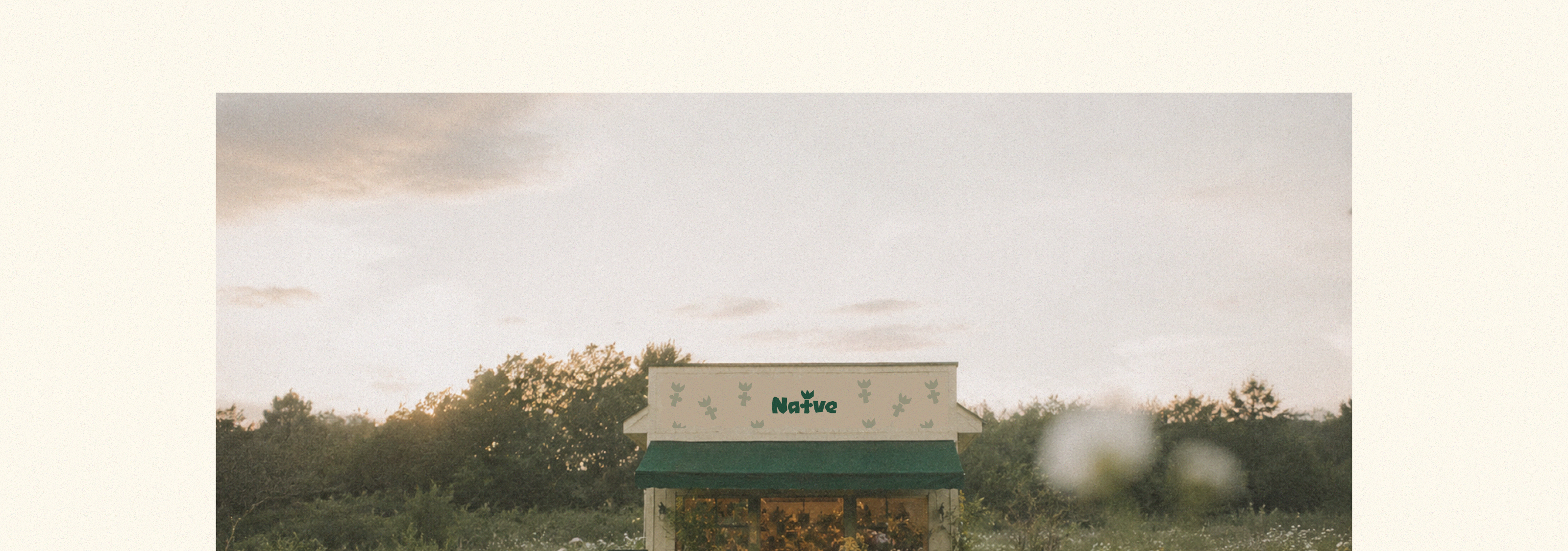 Naïve | айдентика для магазина полевых цветов — Изображение №47 — Брендинг, Графика на Dprofile