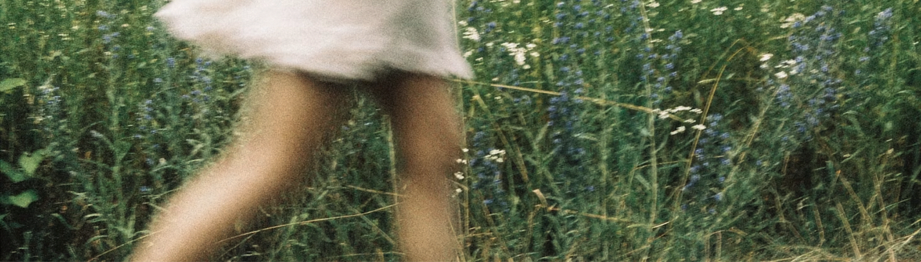 Naïve | айдентика для магазина полевых цветов — Изображение №2 — Брендинг, Графика на Dprofile