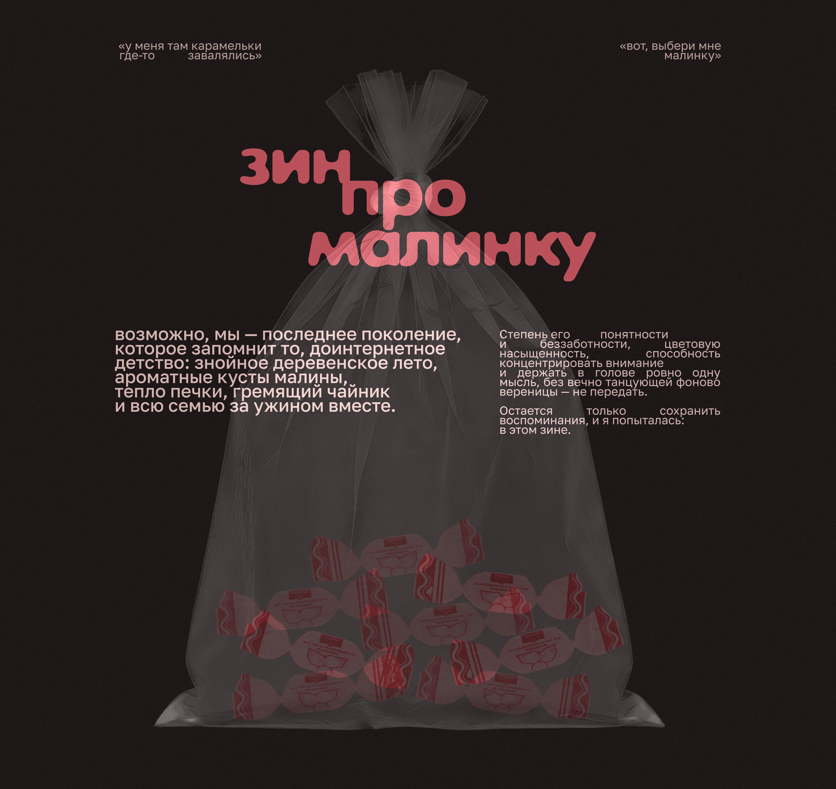 зин про малинку — Изображение №1 — Графика на Dprofile