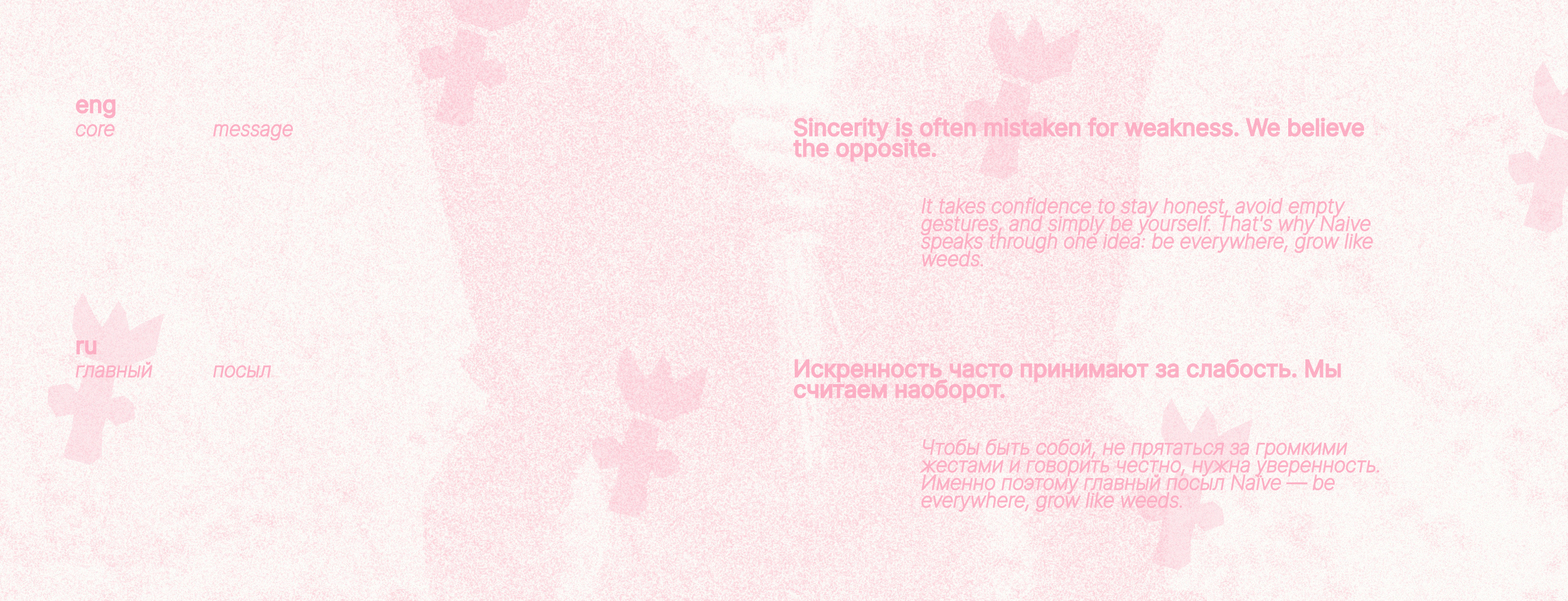 Naïve | айдентика для магазина полевых цветов — Изображение №17 — Брендинг, Графика на Dprofile