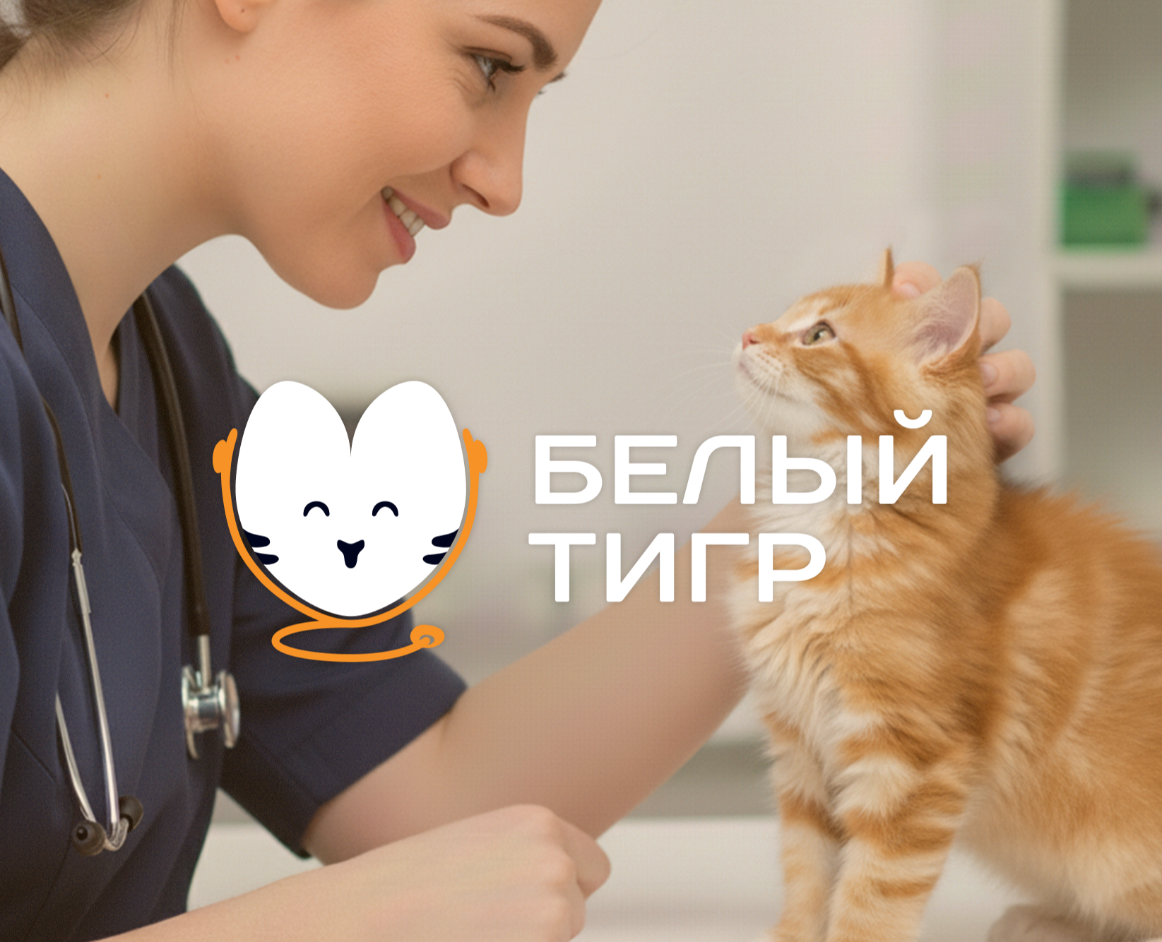 Фирменный стиль для ветеринарной клиники — Брендинг на Dprofile