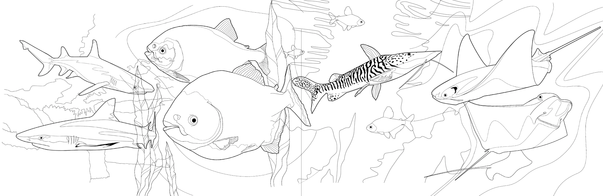 Обитатели «Планеты Океан» — Изображение №4 — Иллюстрация, Графика на Dprofile