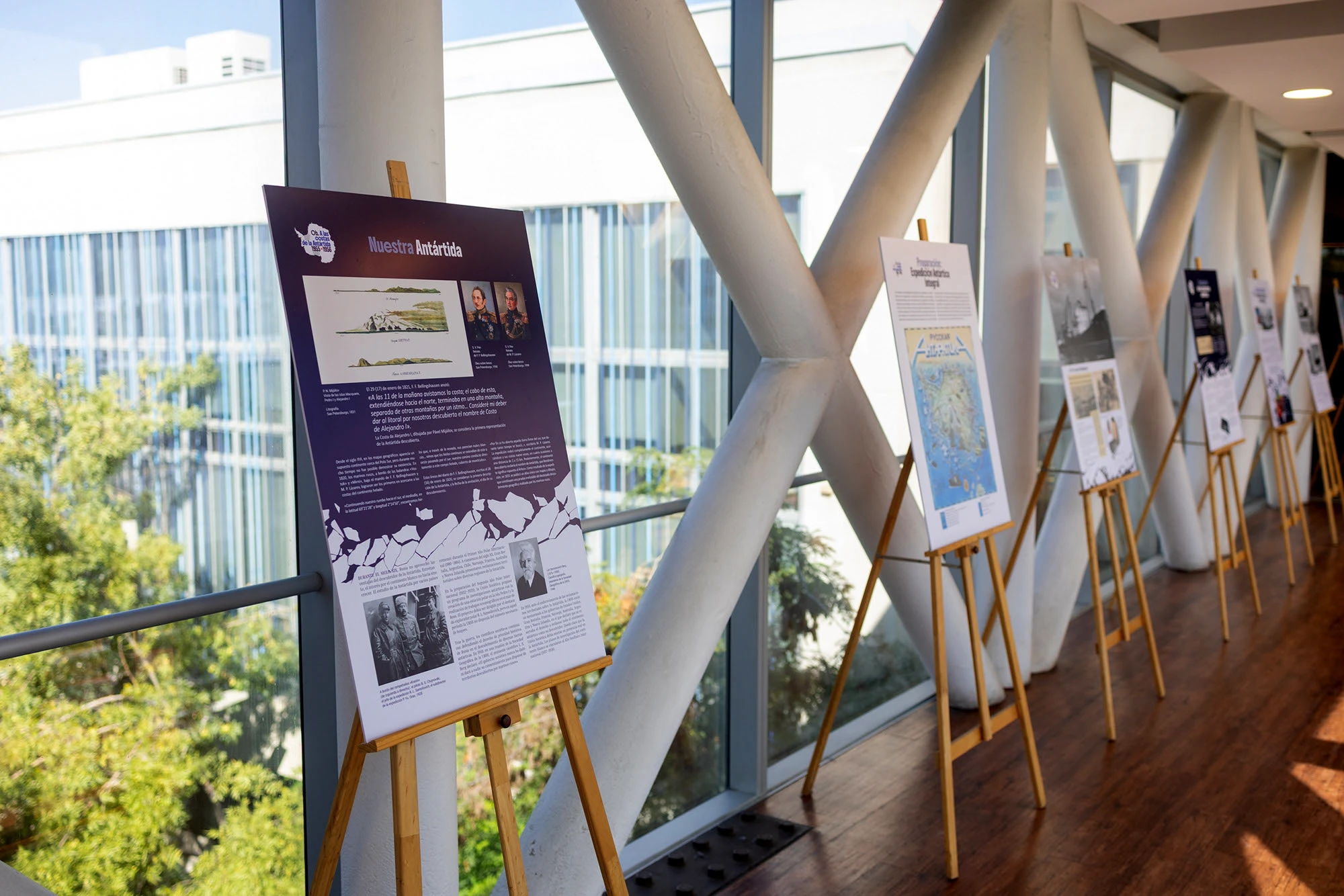 «Об. К берегам Антарктиды» в Сантьяго. — Изображение №1 — Графика на Dprofile