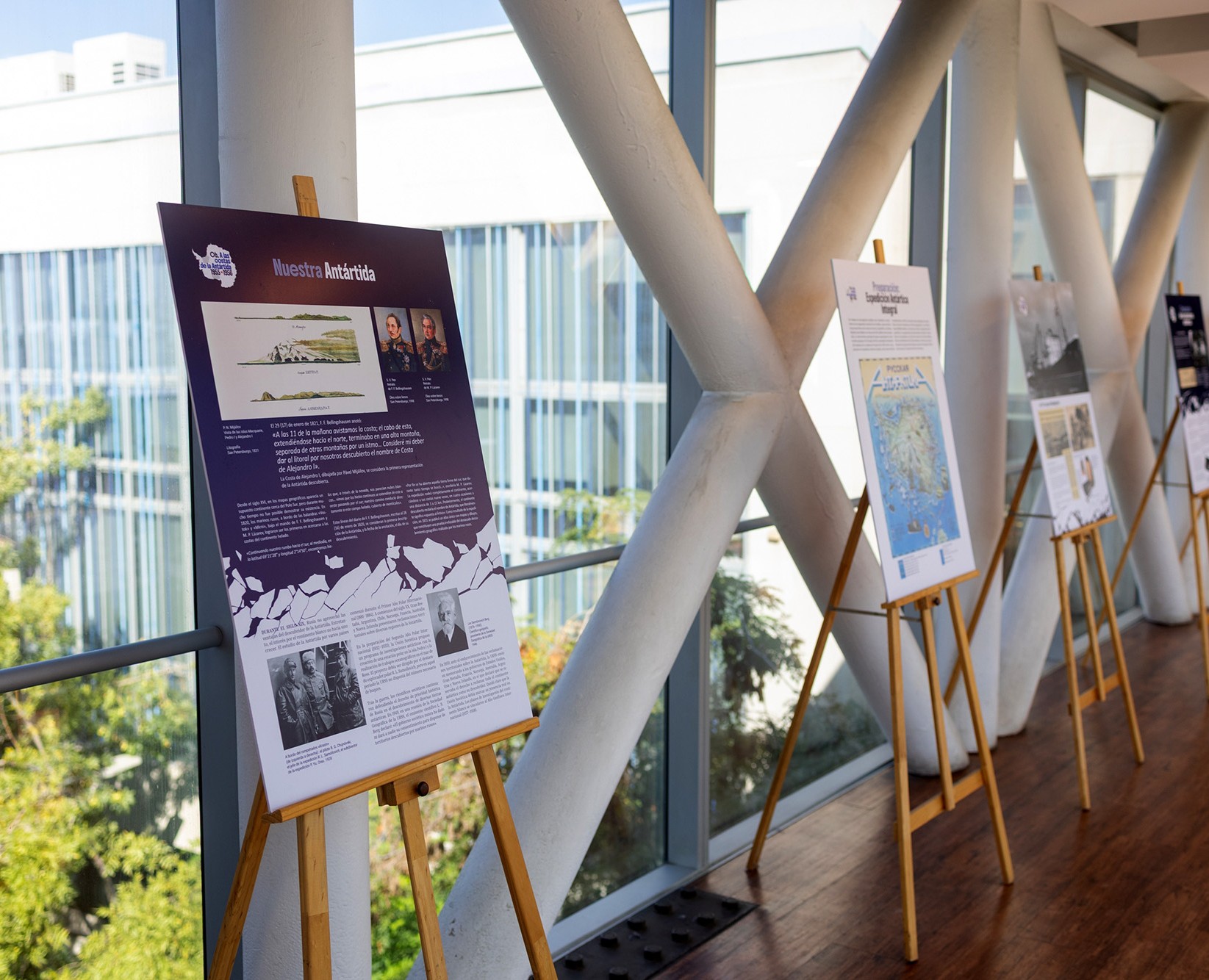 «Об. К берегам Антарктиды» в Сантьяго. — Графика на Dprofile