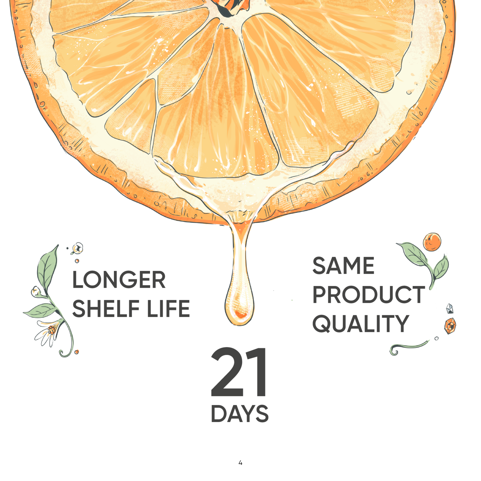 Дизайн каталога для Signature — Изображение №3 — Иллюстрация, Графика на Dprofile