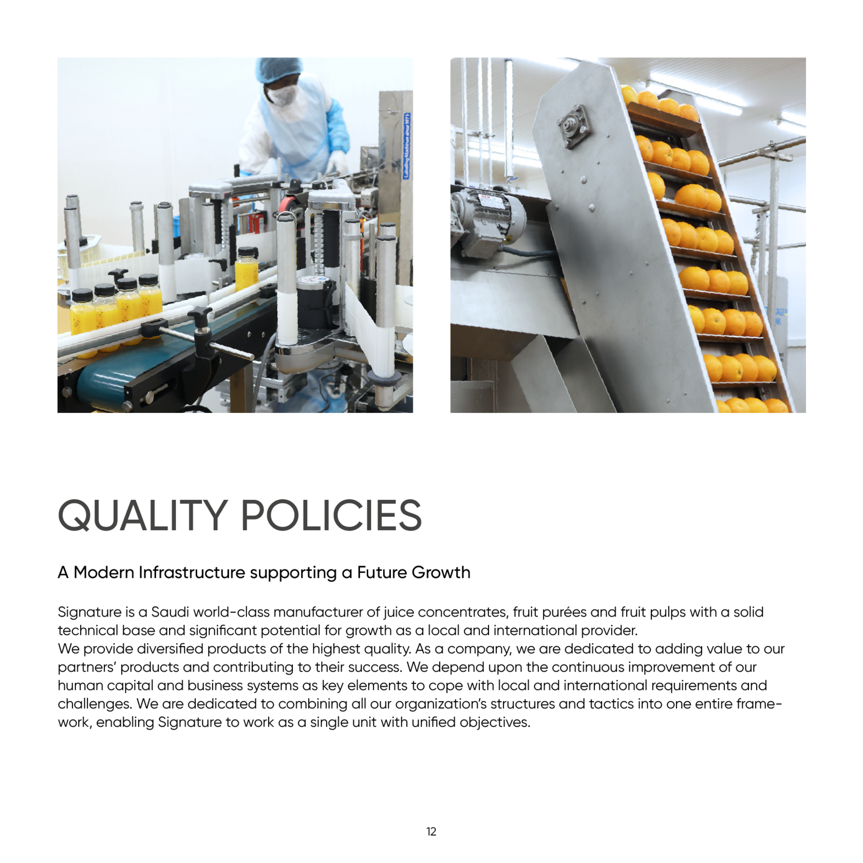 Дизайн каталога для Signature — Изображение №11 — Иллюстрация, Графика на Dprofile