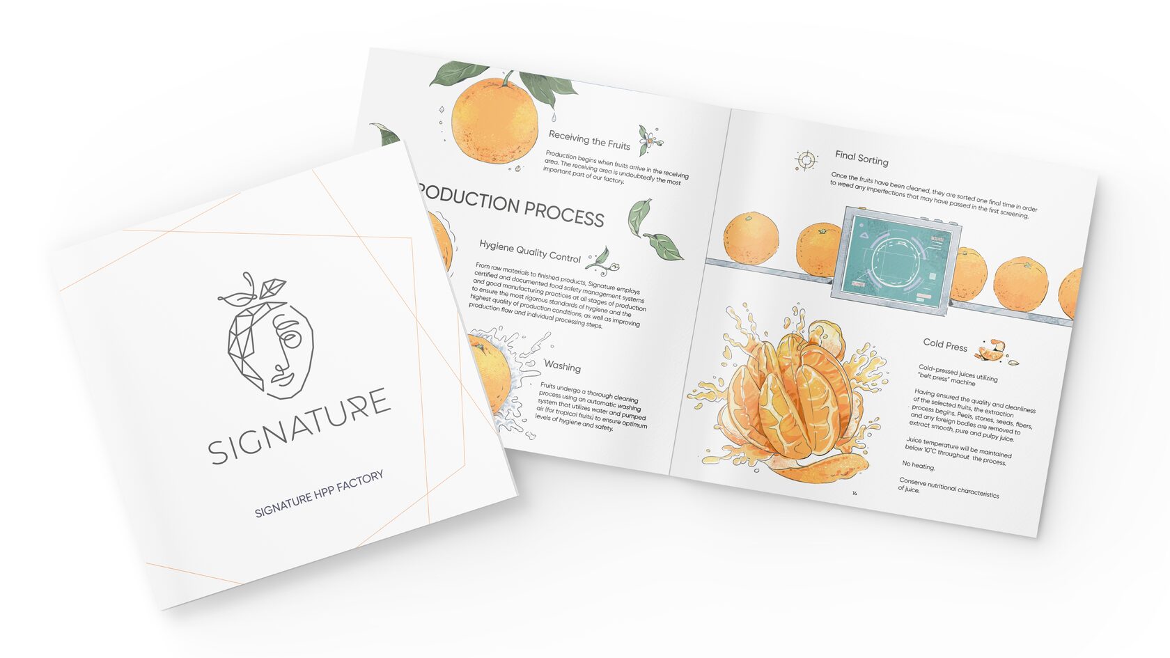 Дизайн каталога для Signature — Изображение №1 — Иллюстрация, Графика на Dprofile