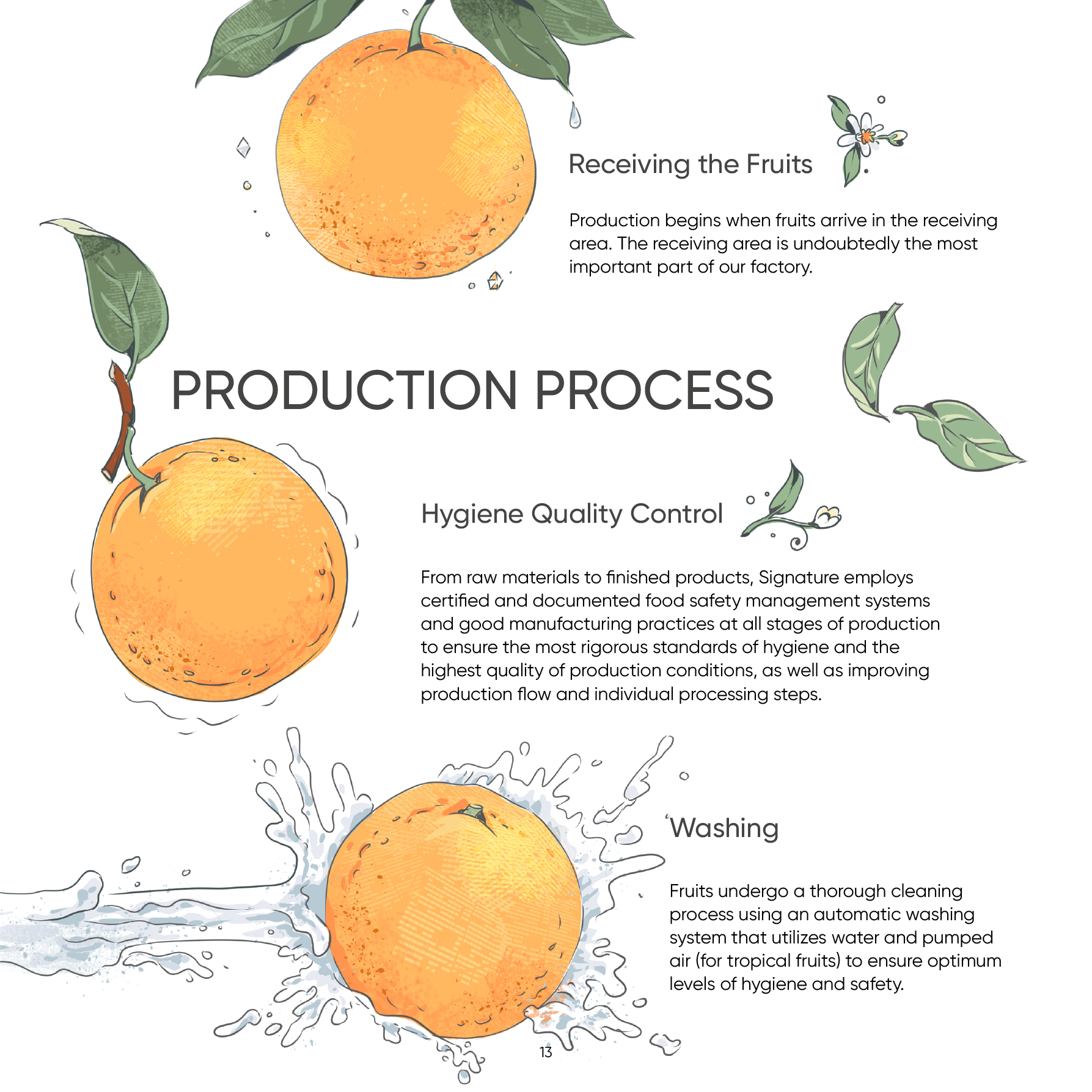 Дизайн каталога для Signature — Изображение №12 — Иллюстрация, Графика на Dprofile