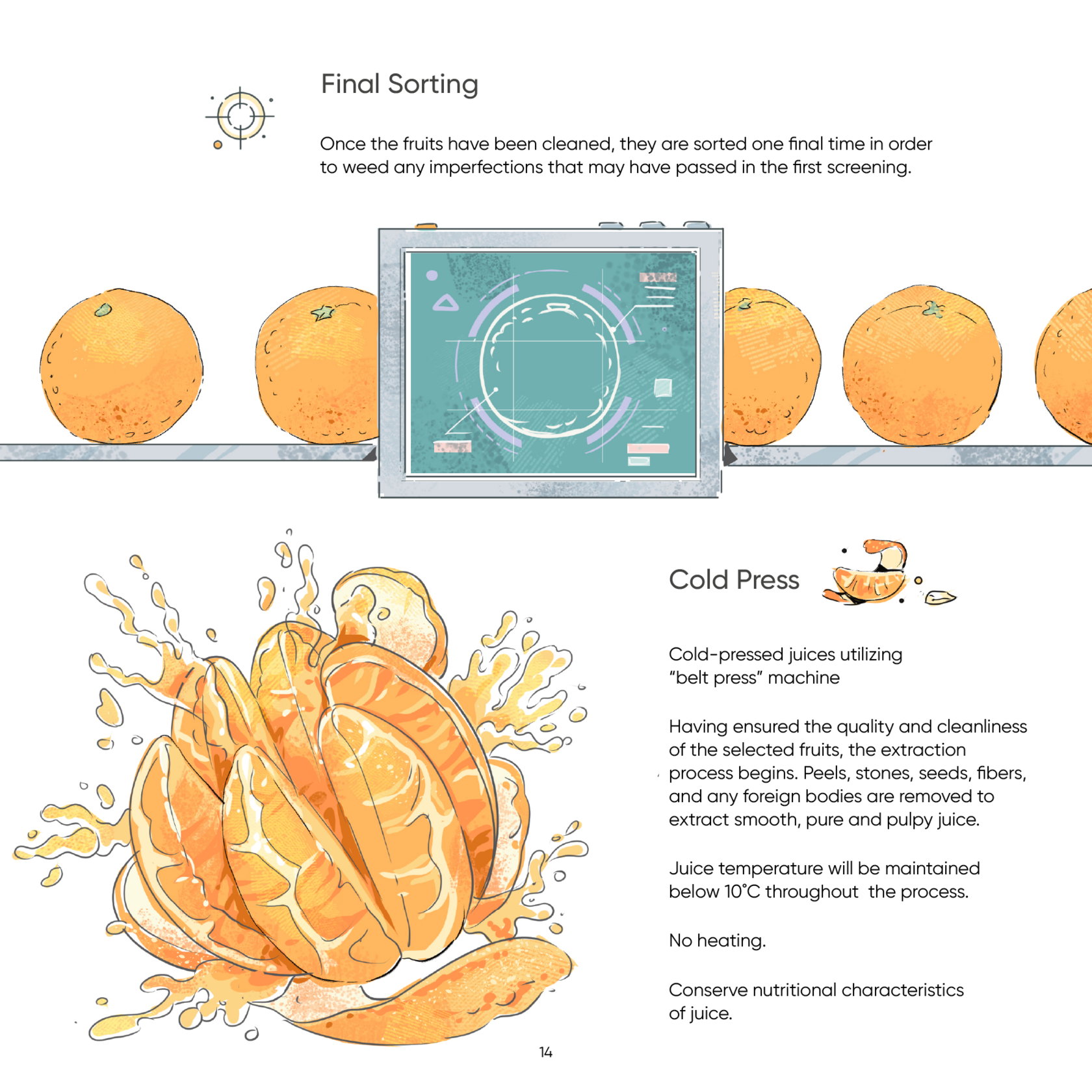 Дизайн каталога для Signature — Изображение №13 — Иллюстрация, Графика на Dprofile