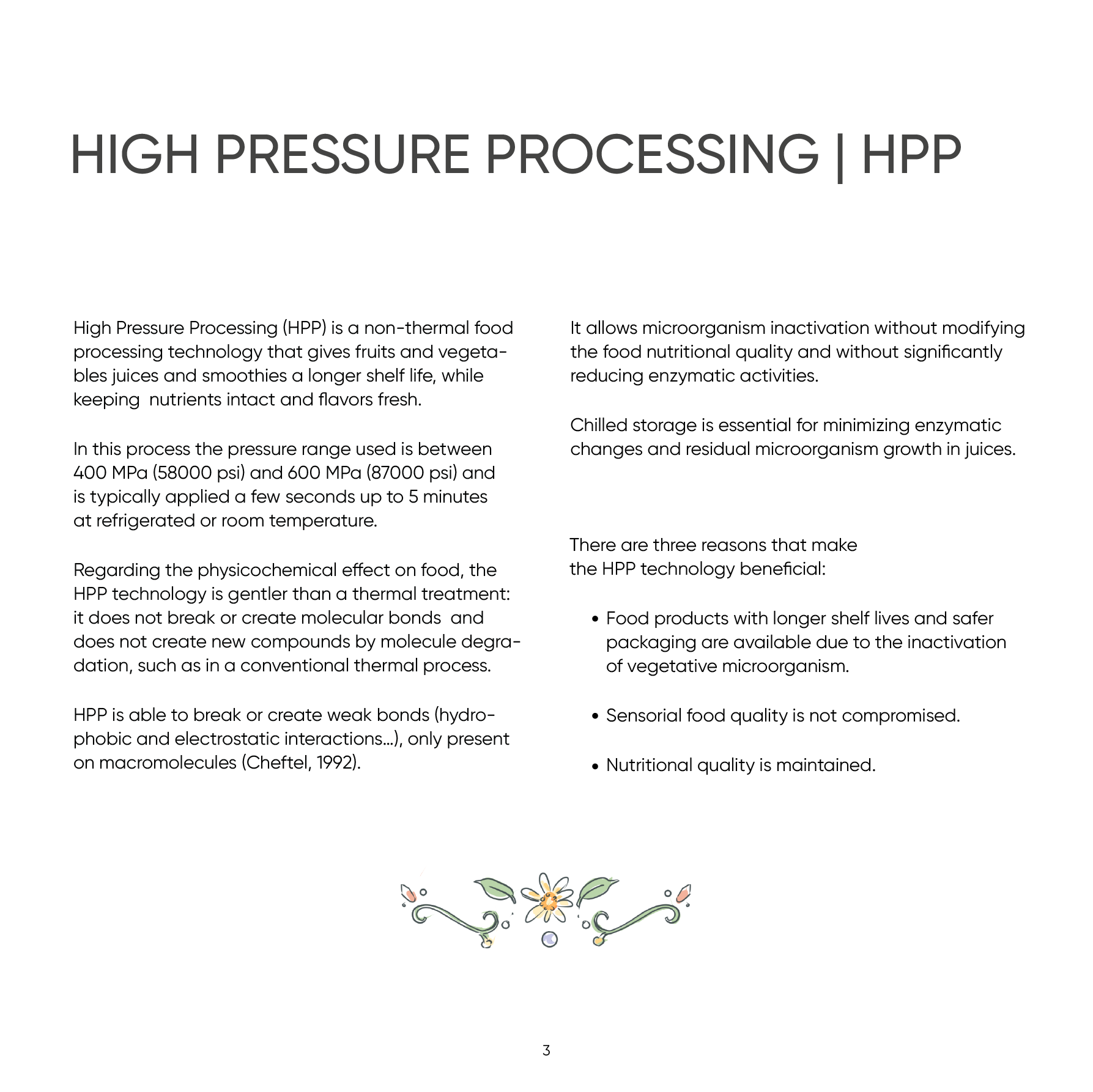 Дизайн каталога для Signature — Изображение №2 — Иллюстрация, Графика на Dprofile