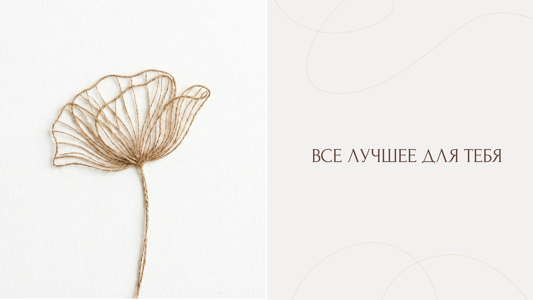 Vera Home / Логотип и айдентика для бренда изделий из джута — Изображение №4 — Брендинг на Dprofile