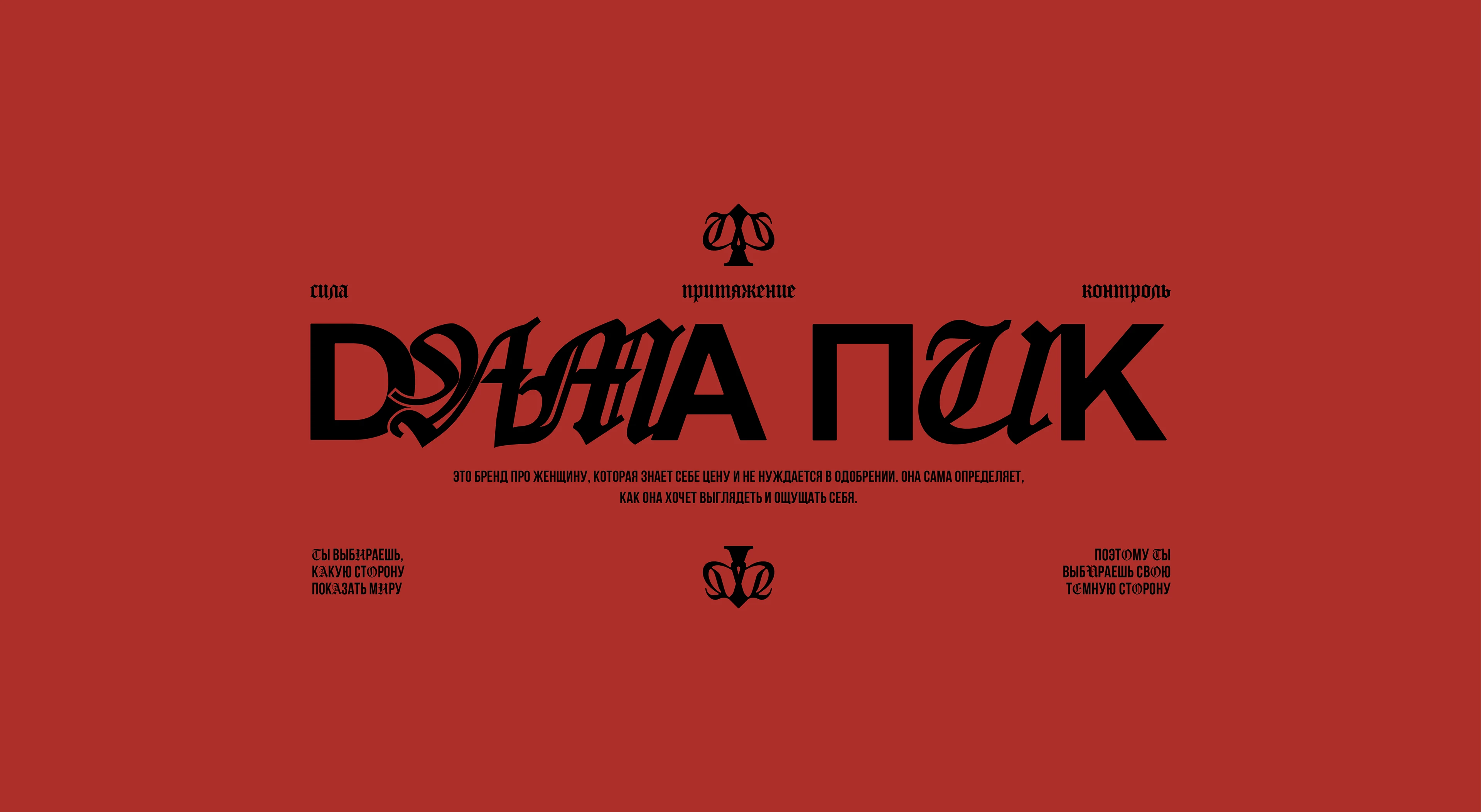 Нижнее белье / логотип / фирменный стиль / упаковка — Изображение №1 — Брендинг на Dprofile