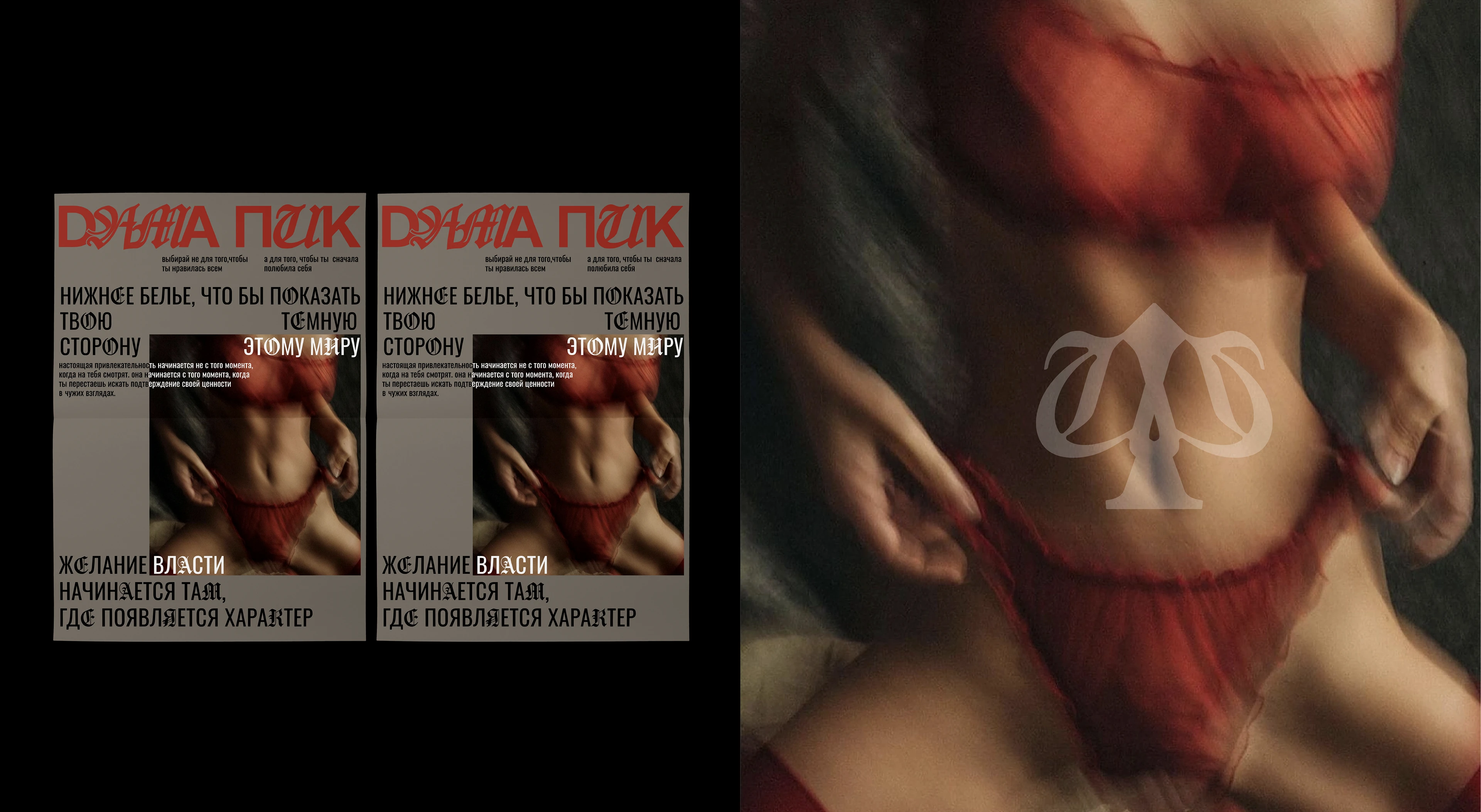 Нижнее белье / логотип / фирменный стиль / упаковка — Изображение №11 — Брендинг на Dprofile