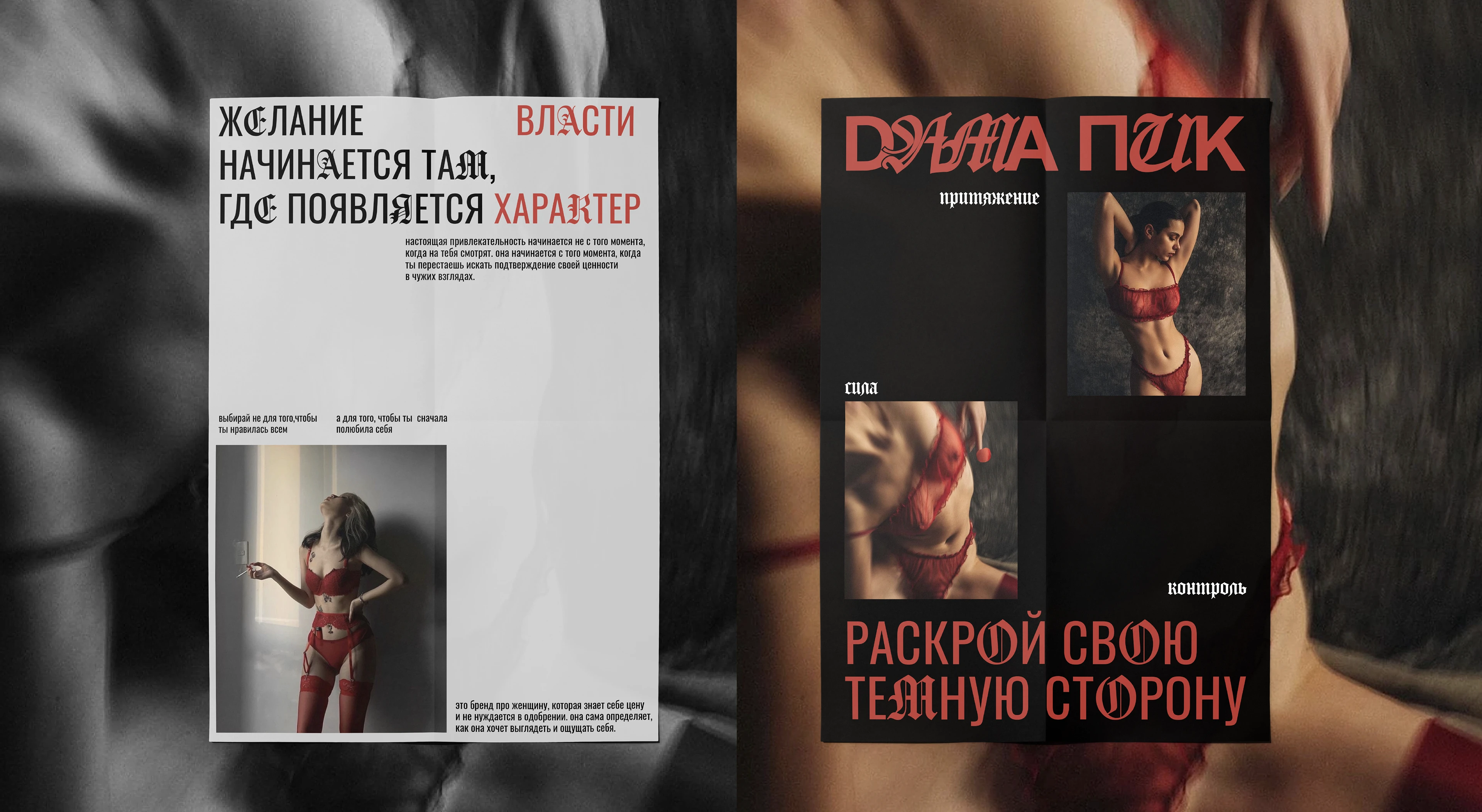 Нижнее белье / логотип / фирменный стиль / упаковка — Изображение №15 — Брендинг на Dprofile