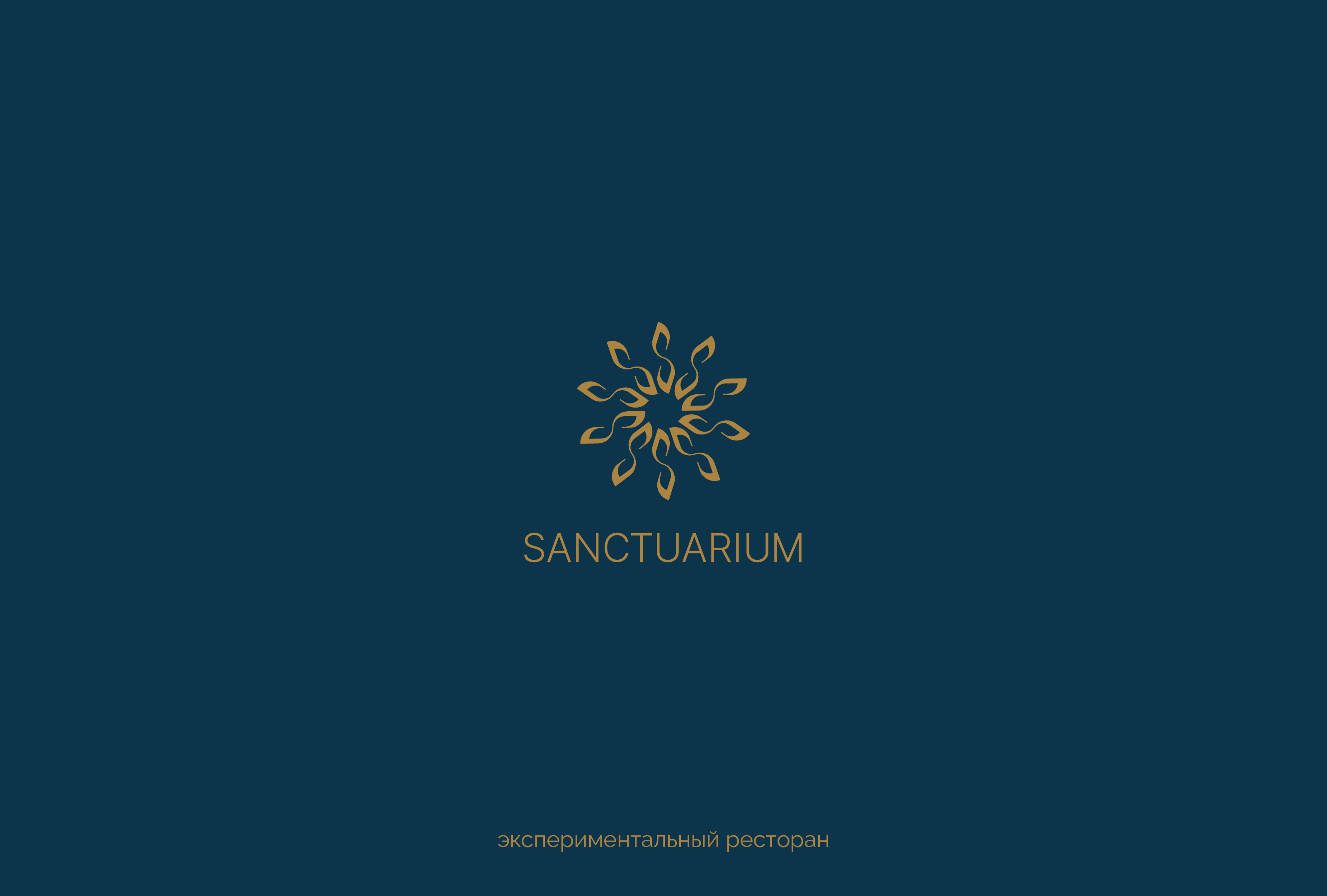 Коллекция логотипов 2025 — Изображение №2 — Брендинг, Графика на Dprofile