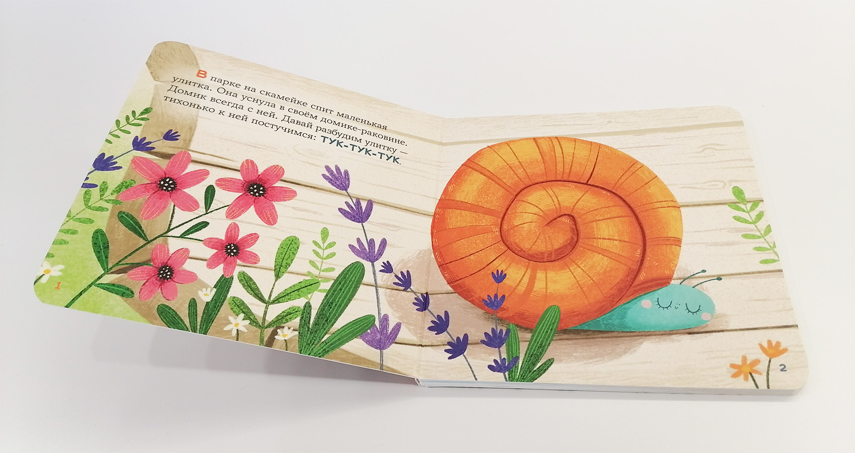 Про улитку — Изображение №6 — Иллюстрация на Dprofile