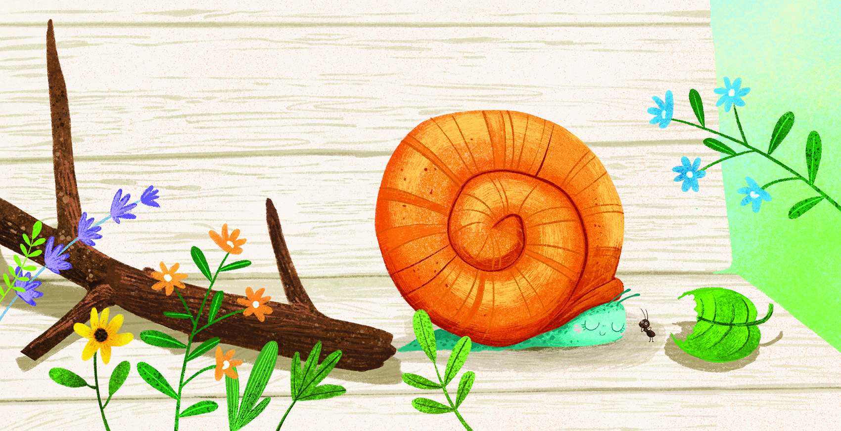 Про улитку — Изображение №10 — Иллюстрация на Dprofile