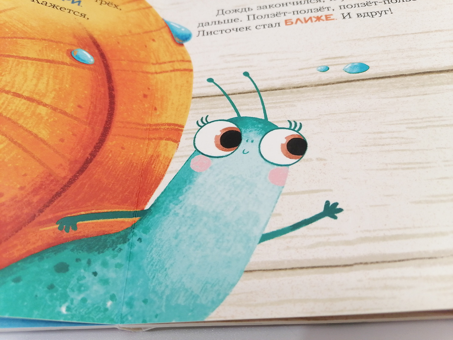 Про улитку — Изображение №8 — Иллюстрация на Dprofile