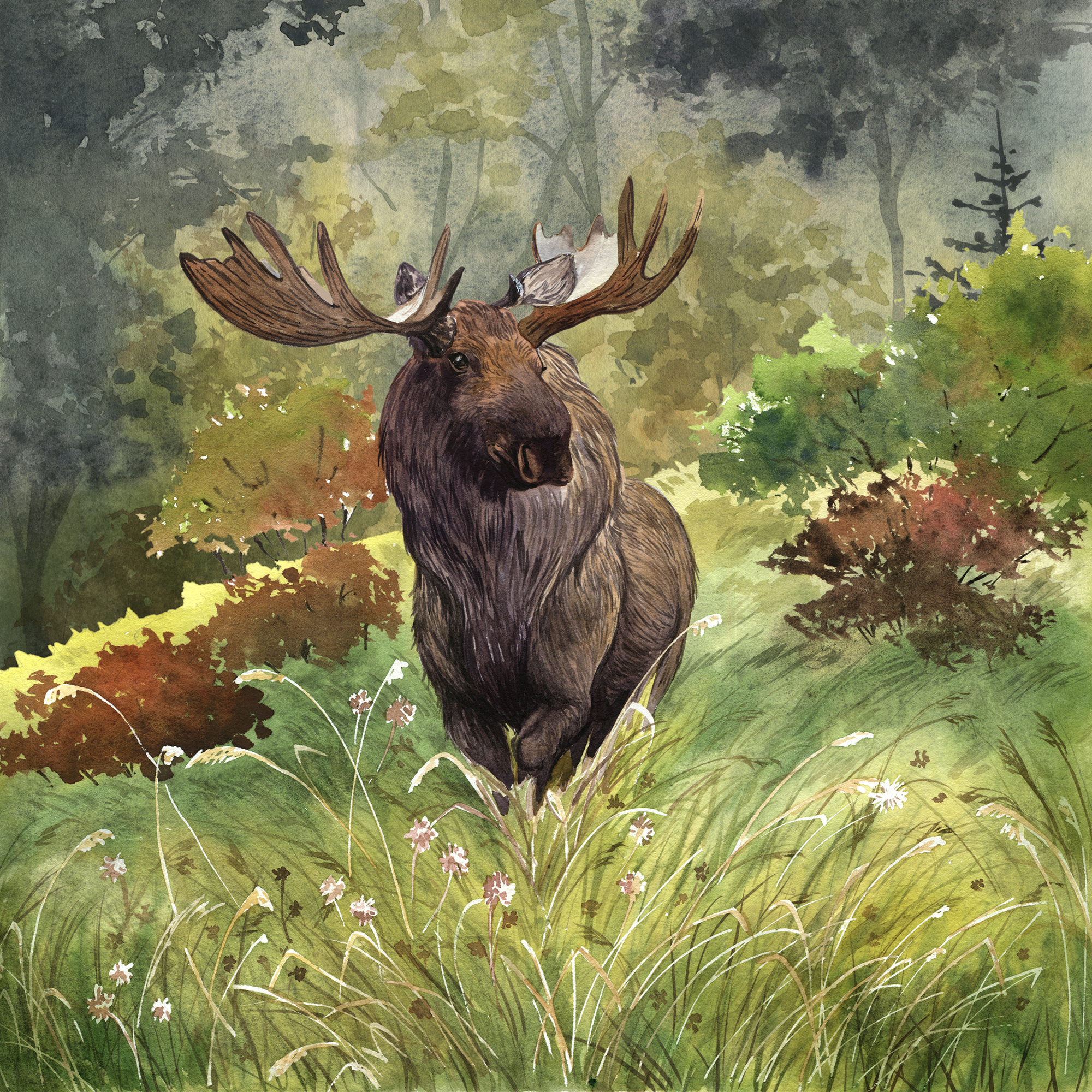 Habitopia. Иллюстрации для настольной игры — Изображение №12 — Иллюстрация, Графика на Dprofile