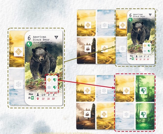 Habitopia. Иллюстрации для настольной игры — Изображение №4 — Иллюстрация, Графика на Dprofile