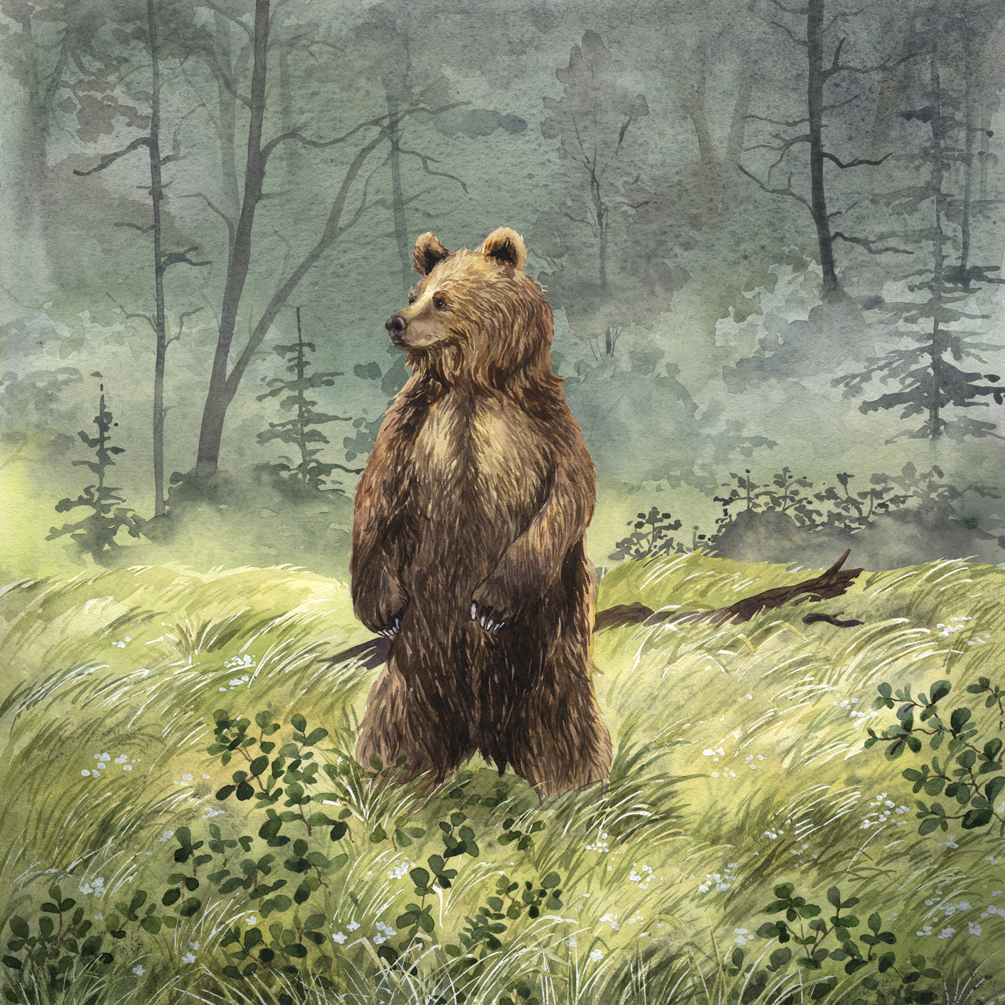 Habitopia. Иллюстрации для настольной игры — Изображение №7 — Иллюстрация, Графика на Dprofile