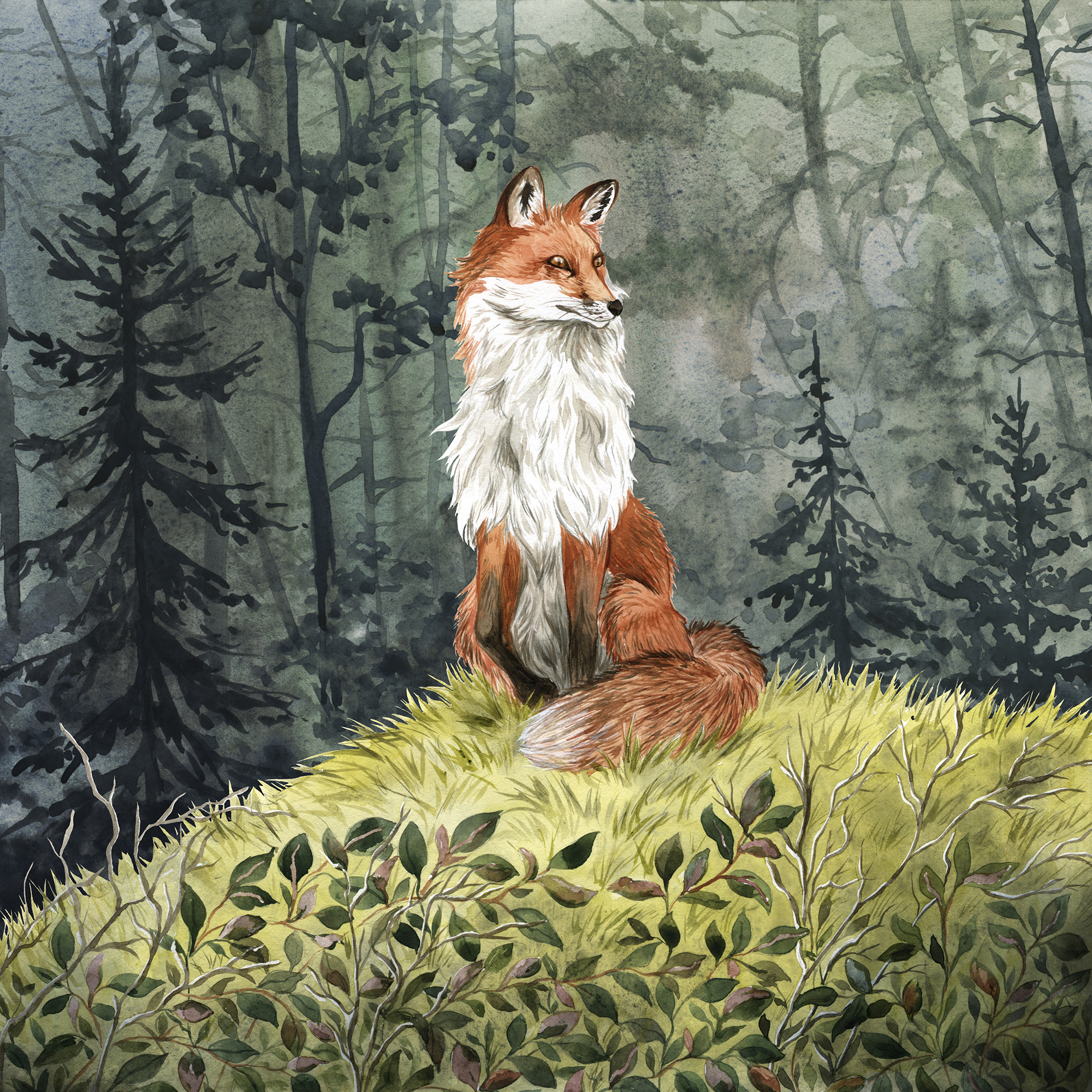 Habitopia. Иллюстрации для настольной игры — Изображение №6 — Иллюстрация, Графика на Dprofile