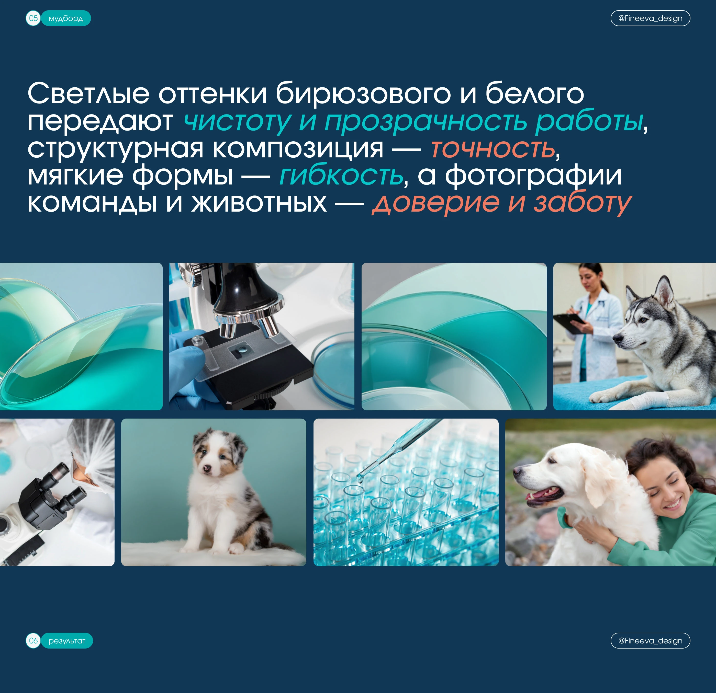 Презентация ветеринарной лаборатории — Изображение №5 — Графика, Маркетинг на Dprofile