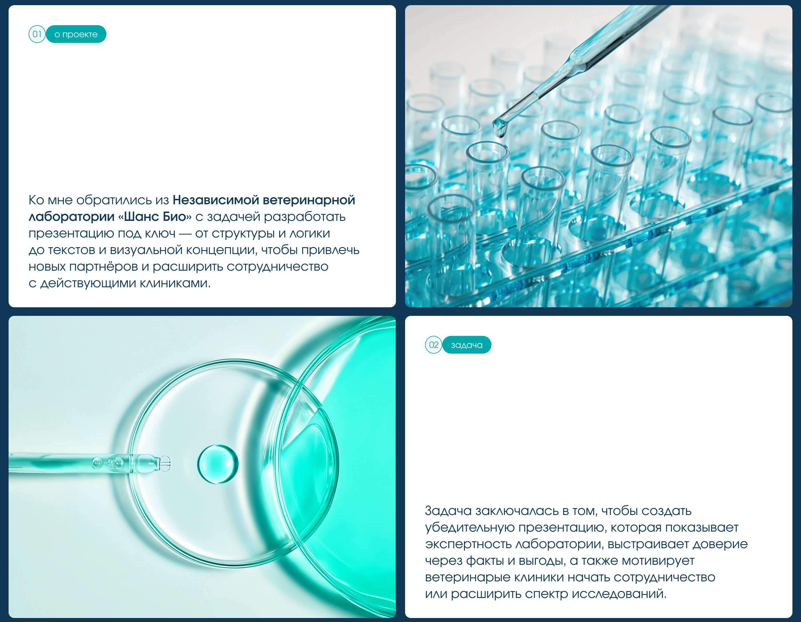 Презентация ветеринарной лаборатории — Изображение №2 — Графика, Маркетинг на Dprofile