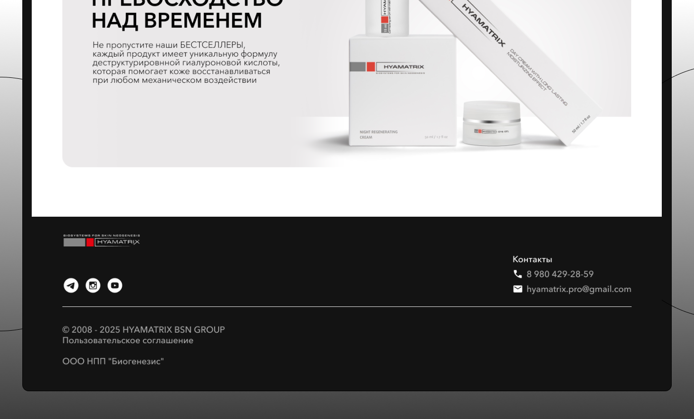 LANDING DESIGN FOR HYAMATRIX — Изображение №14 — Интерфейсы на Dprofile