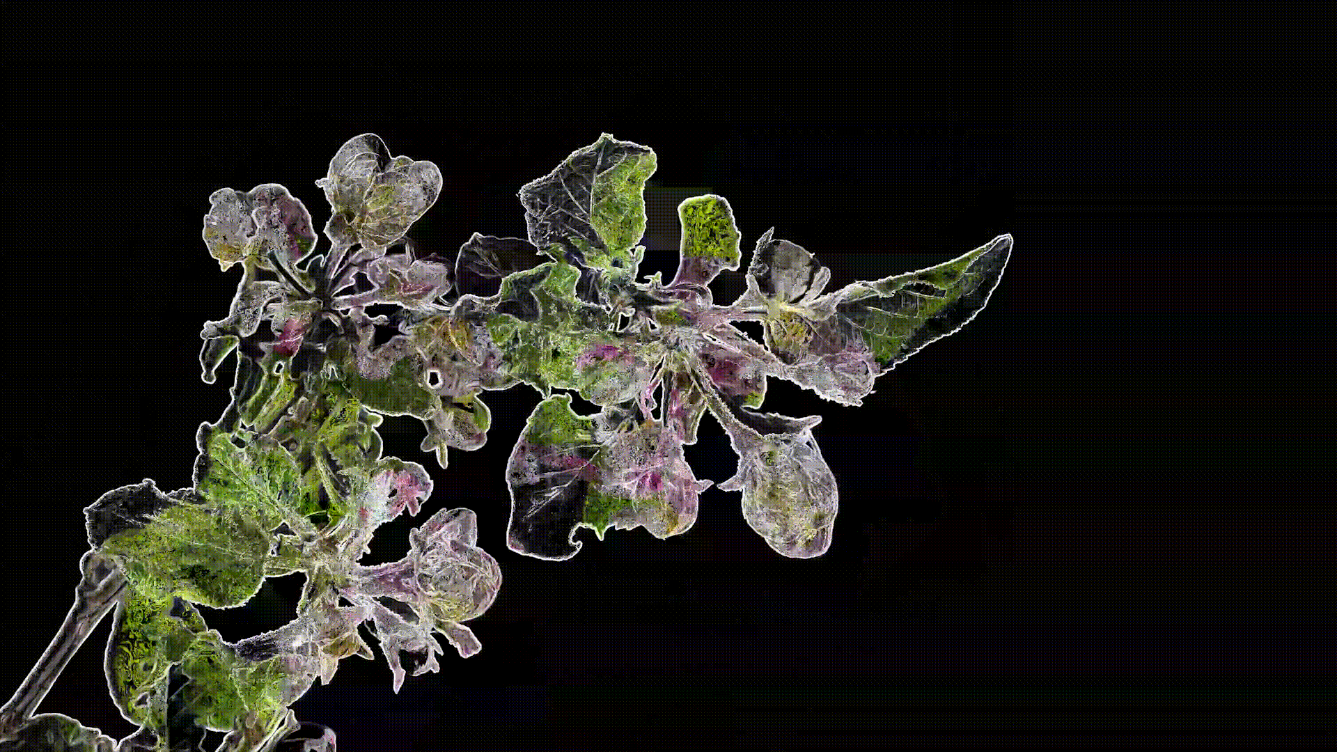 DJI Action 2 — Изображение №4 — 3D на Dprofile