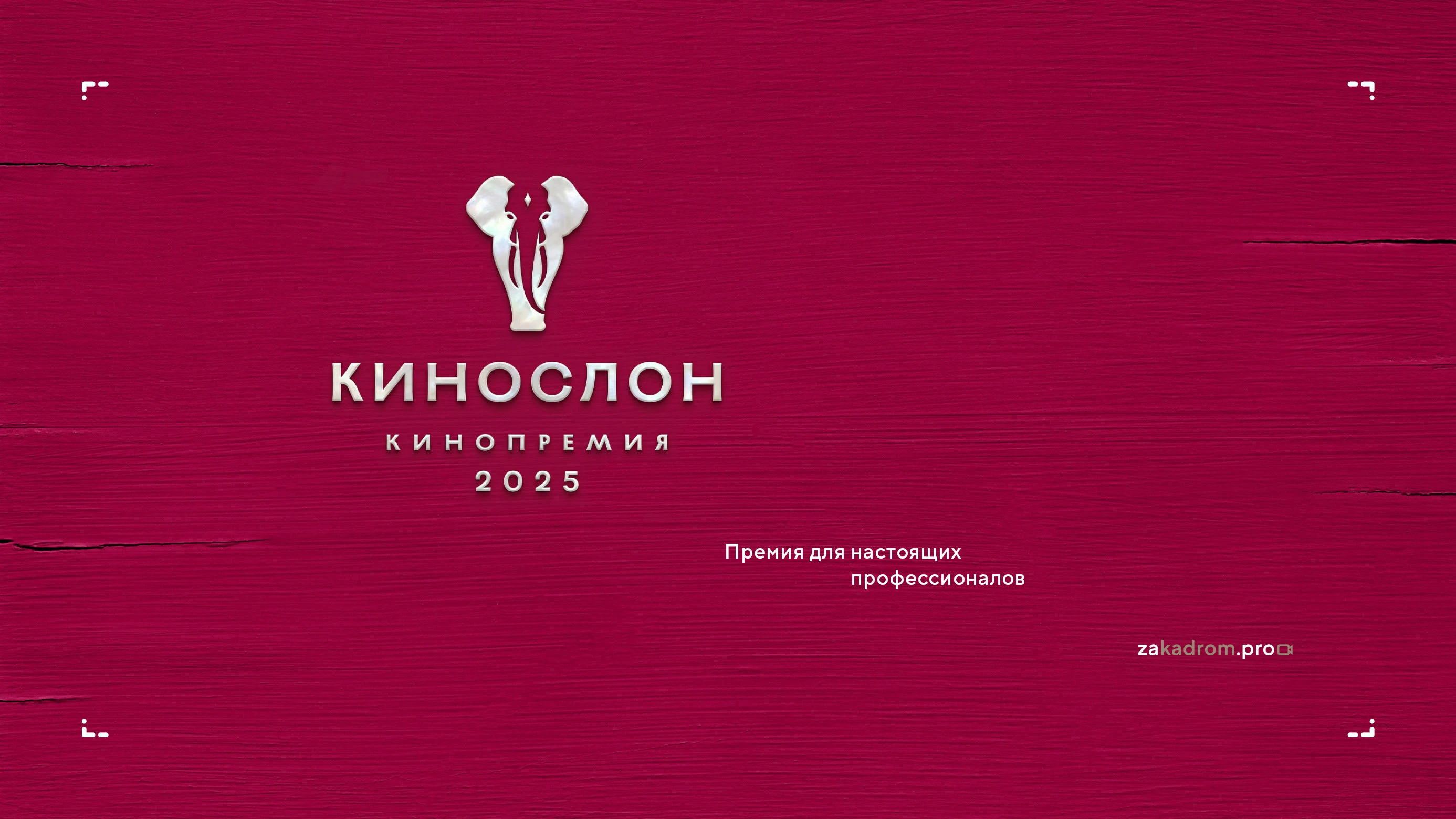 Нейминг и логотипы кинопремии 2025 — Изображение №16 — Брендинг на Dprofile