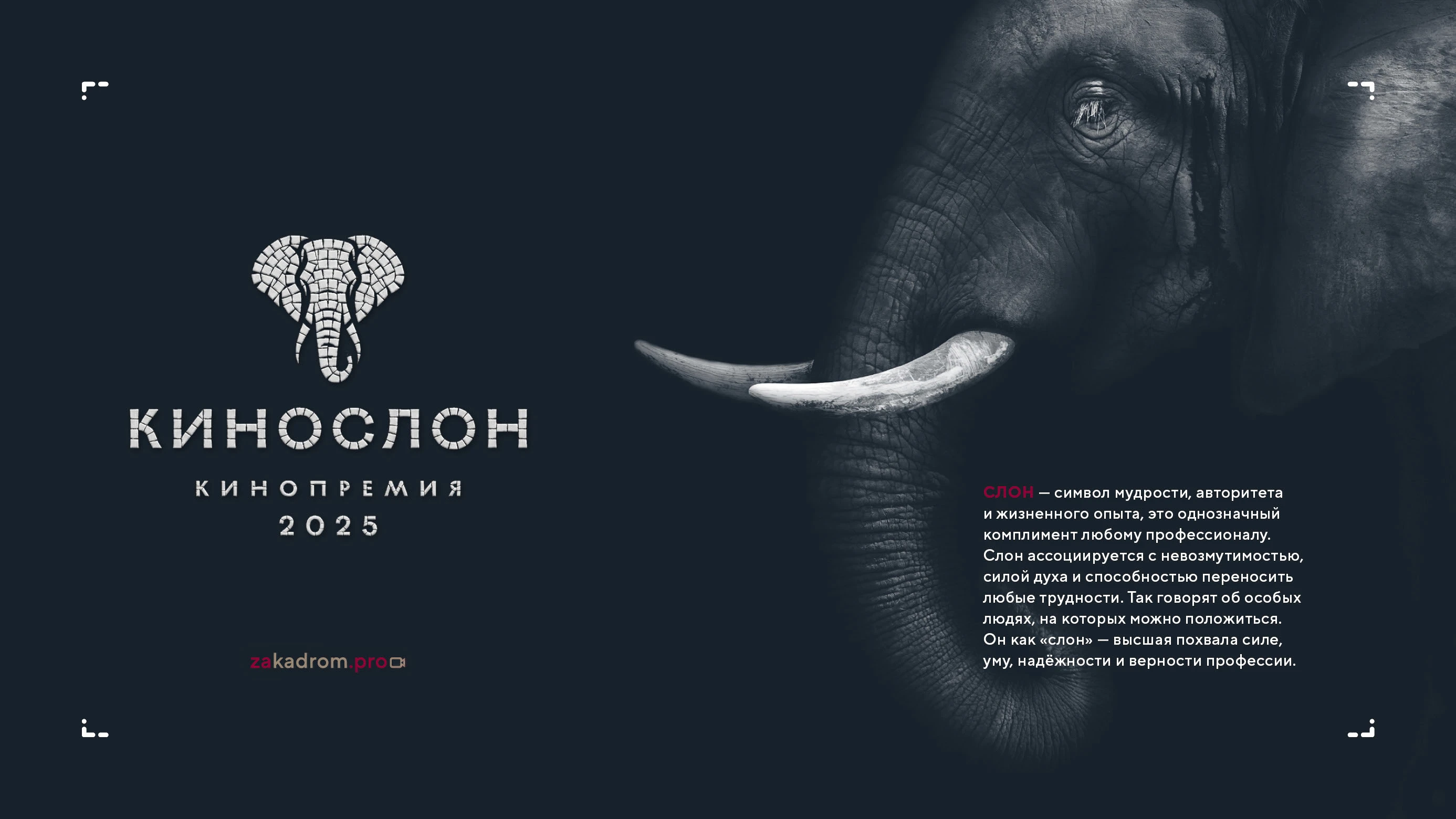Нейминг и логотипы кинопремии 2025 — Изображение №14 — Брендинг на Dprofile